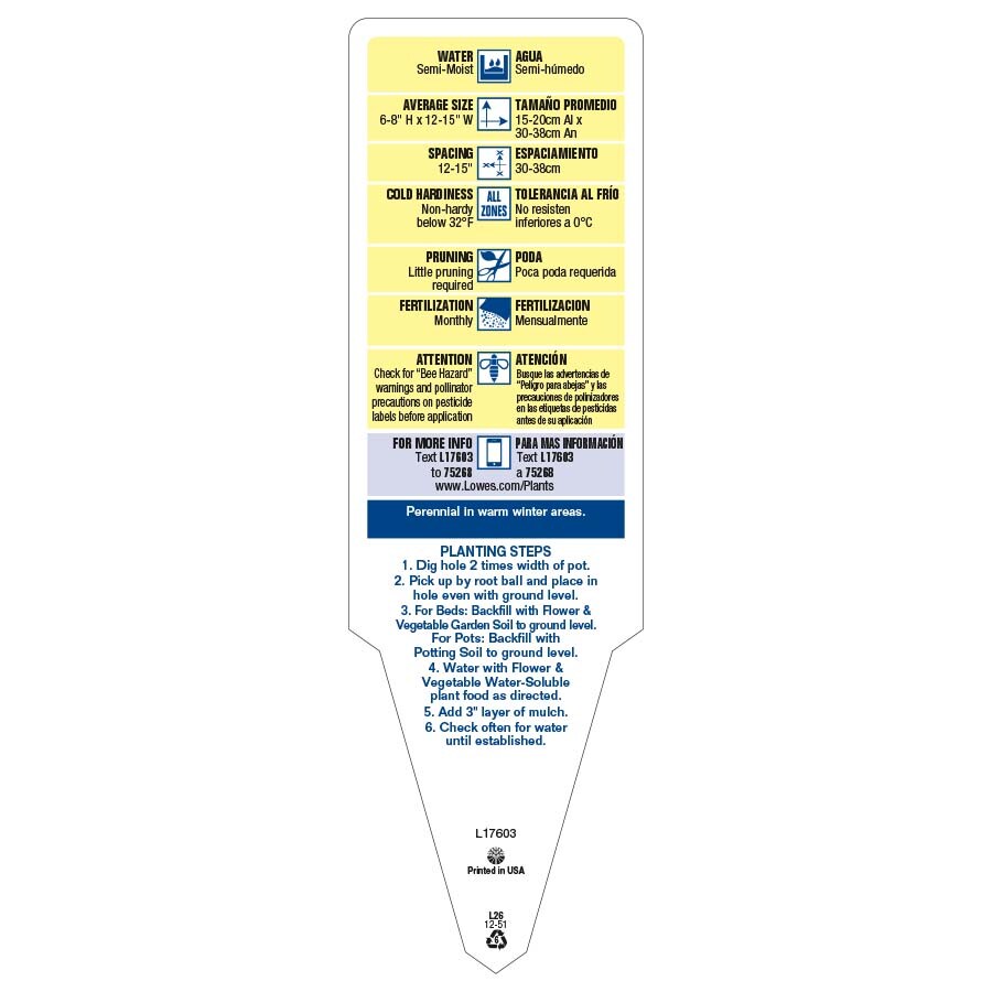 Lowe's 94002 annuals - View #3