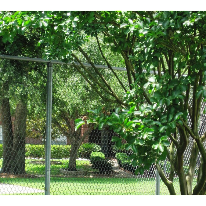 5-ft H x 50-ft L 9-Gauge Galvanized Steel Chain Link Fence Fabric in ...
