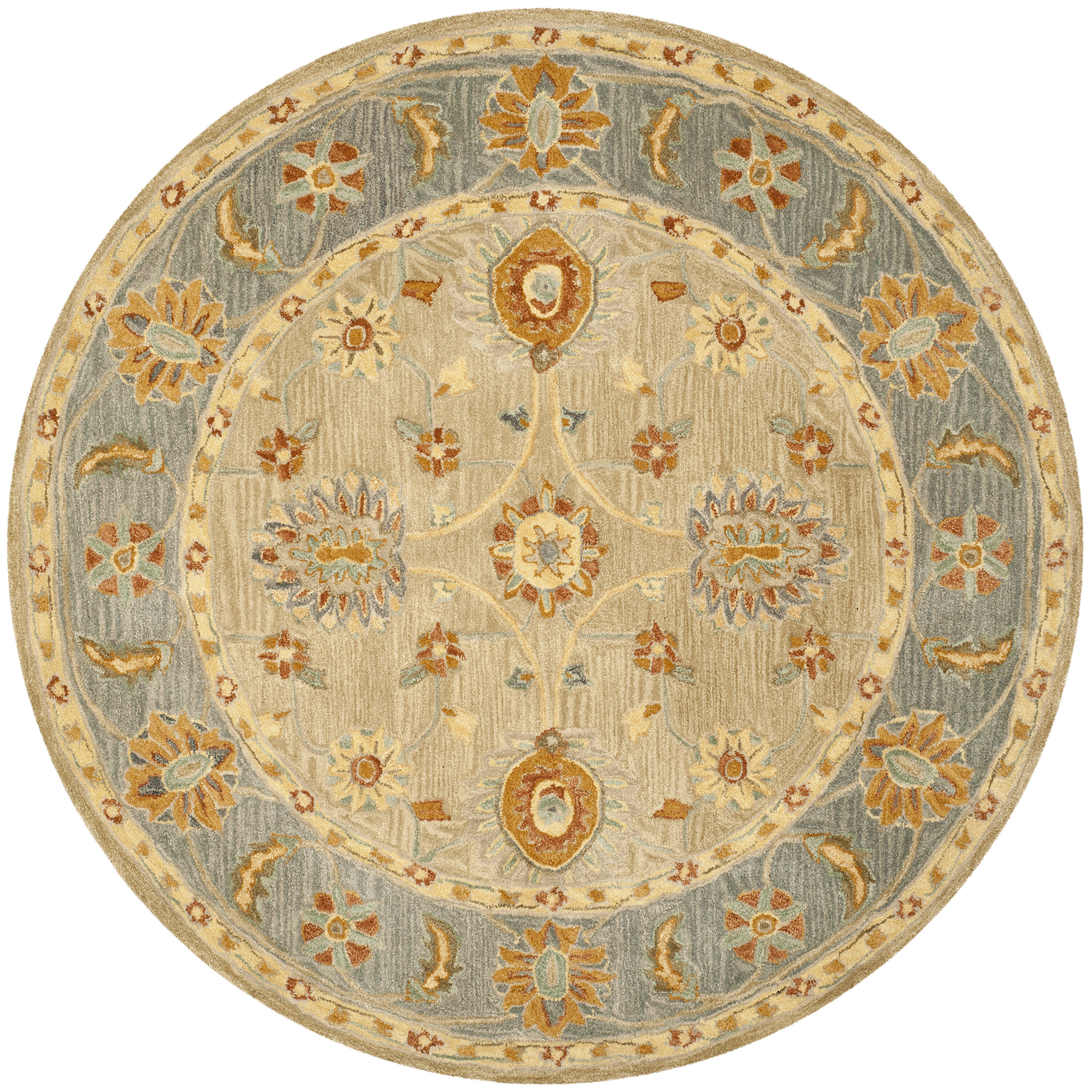 Safavieh AN561A-6R rugs - View #2