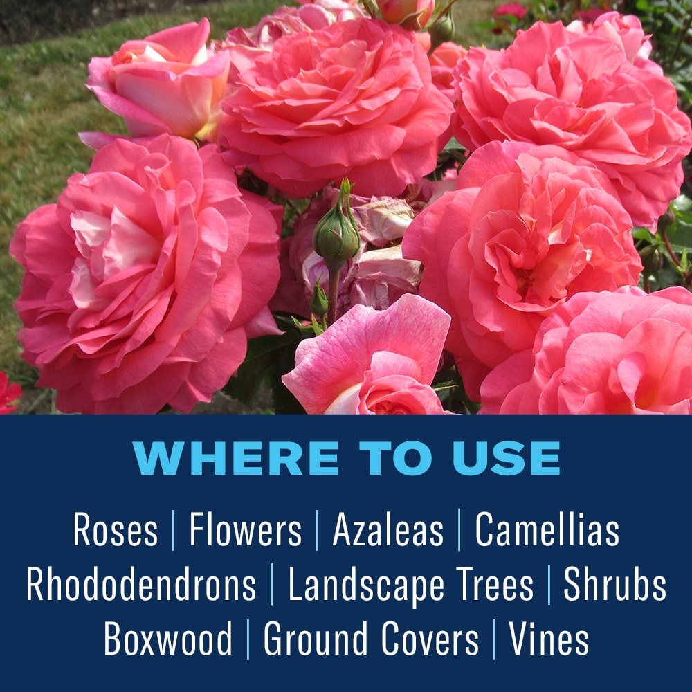 BioAdvanced 701250 plantcare - View #5