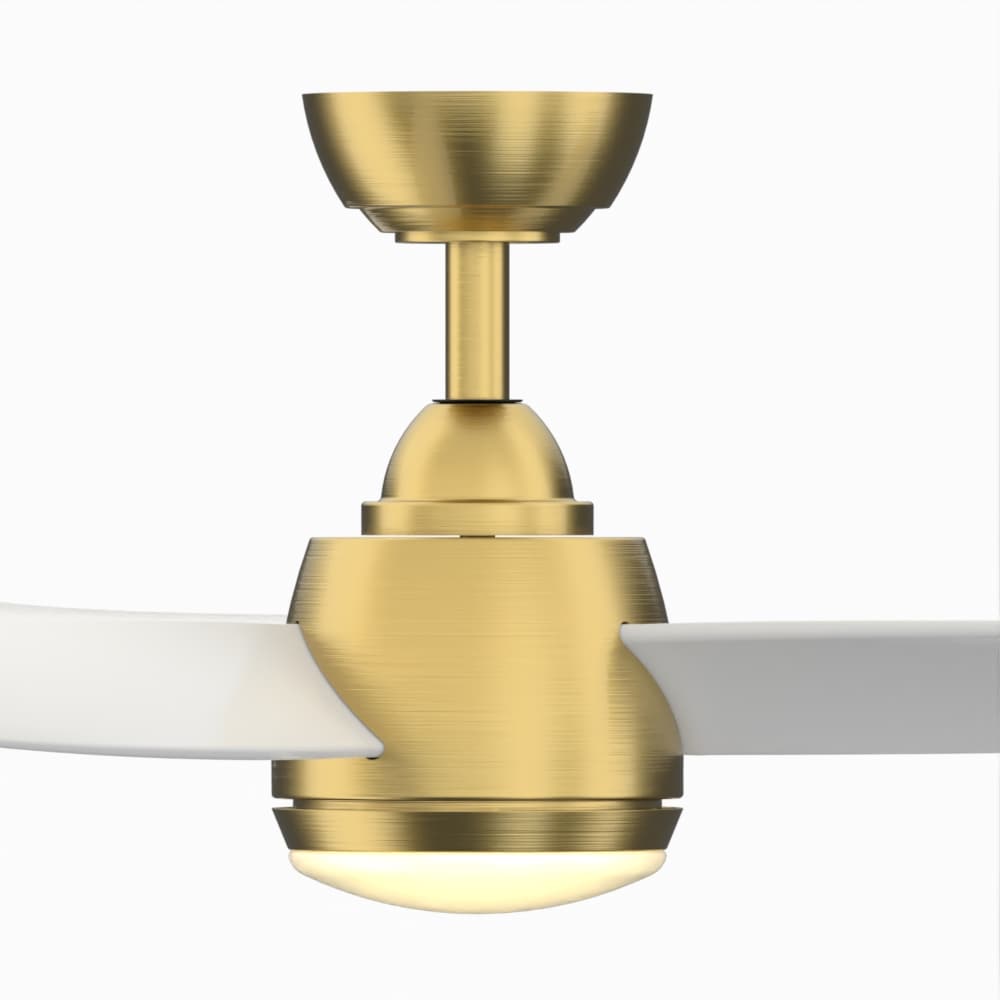 Fanimation Studio Collection LP7675LBS Ceiling-Fans - View #6