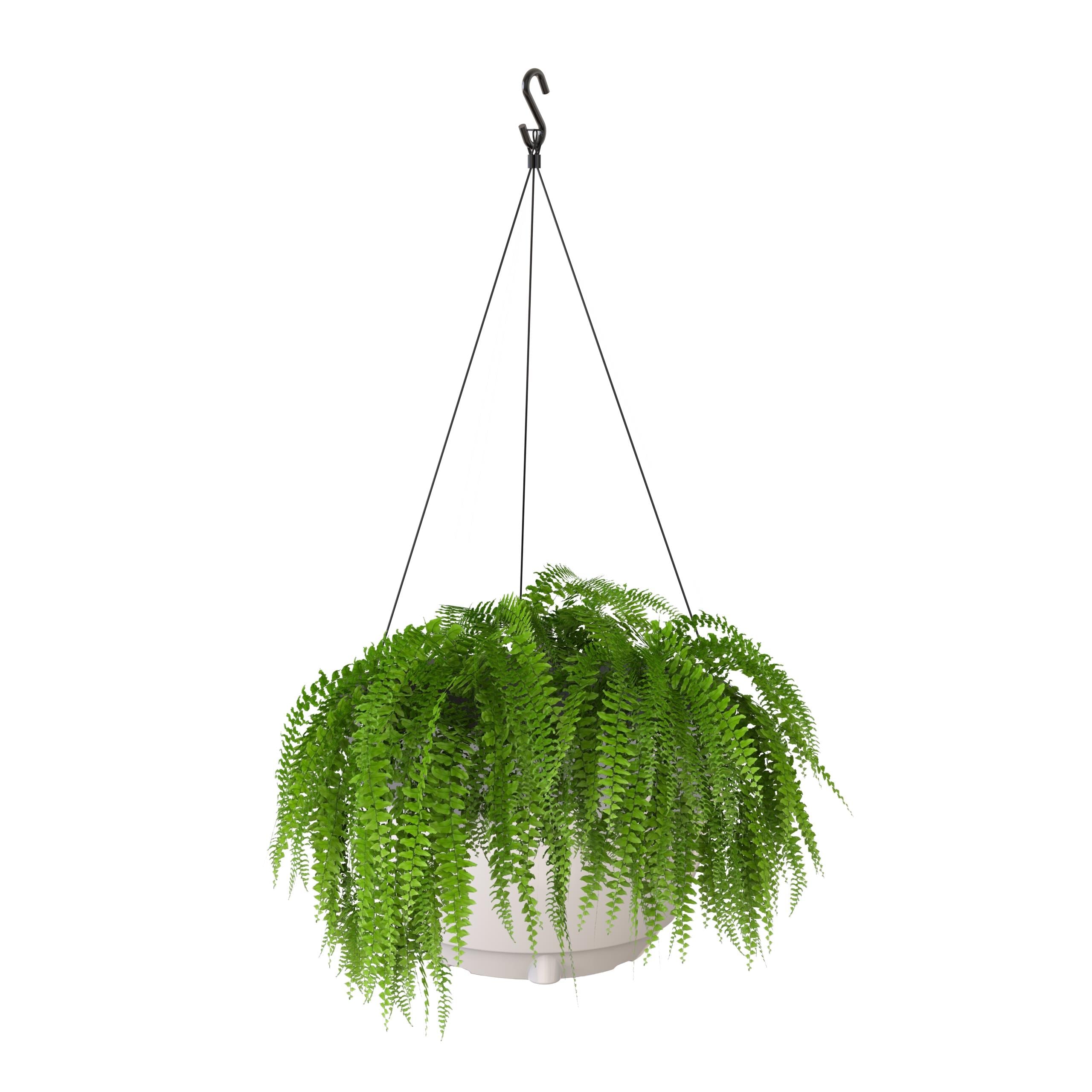 Mayne 3885-W Round 14-in W Medium White Plastic Contemporary/Modern Indoor/Outdoor Hanging planter with Drainage Holes with Self Watering