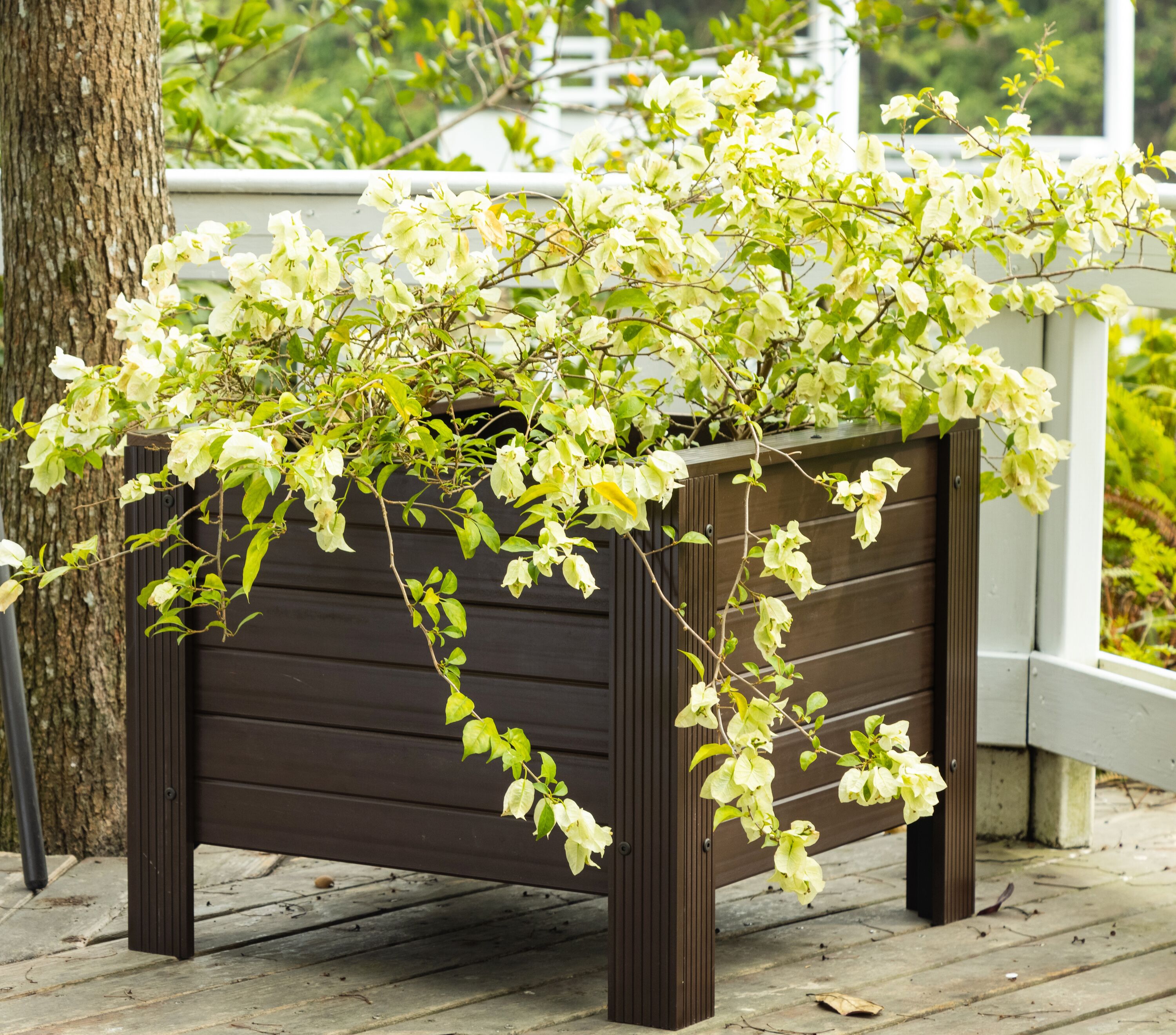 Walnut ECOFLEX Square Outdoor Planter 24" Durable Composite