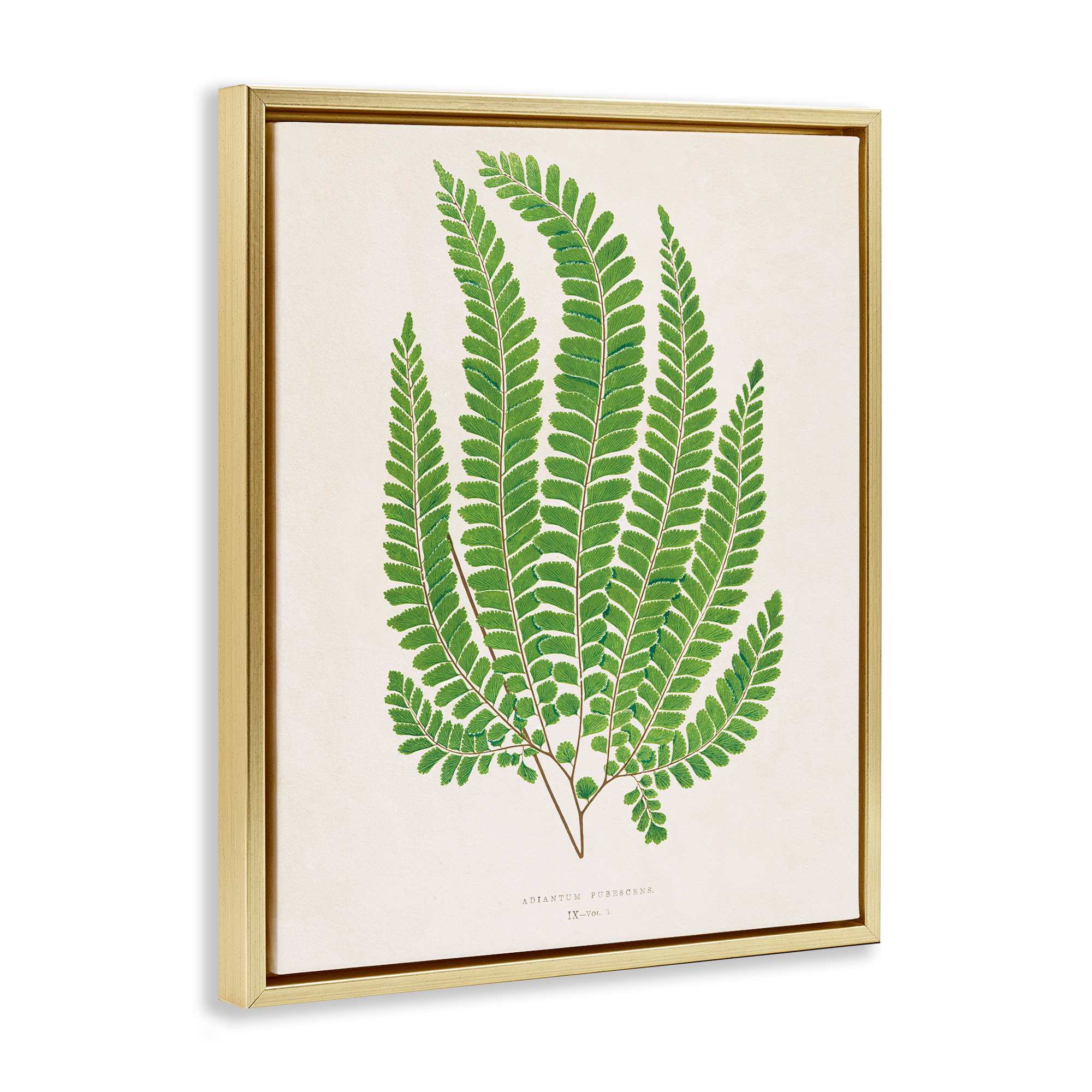 Stupell Industries BT-467-FFG-16X20 Wall-Art - View #2