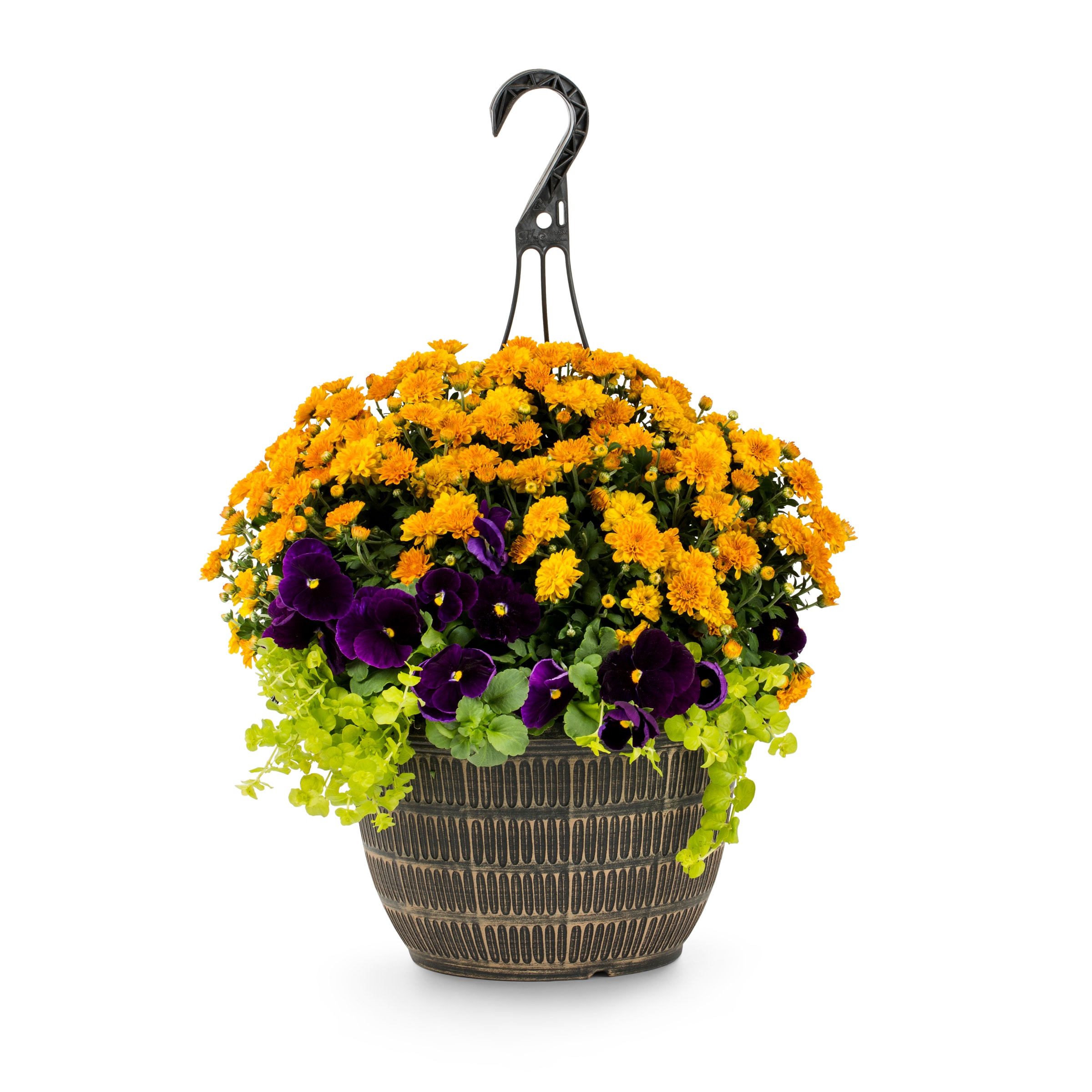 Lowe's Multicolor Mixed Annuals in 2-Gallon Hanging Basket 4-Pack in ...