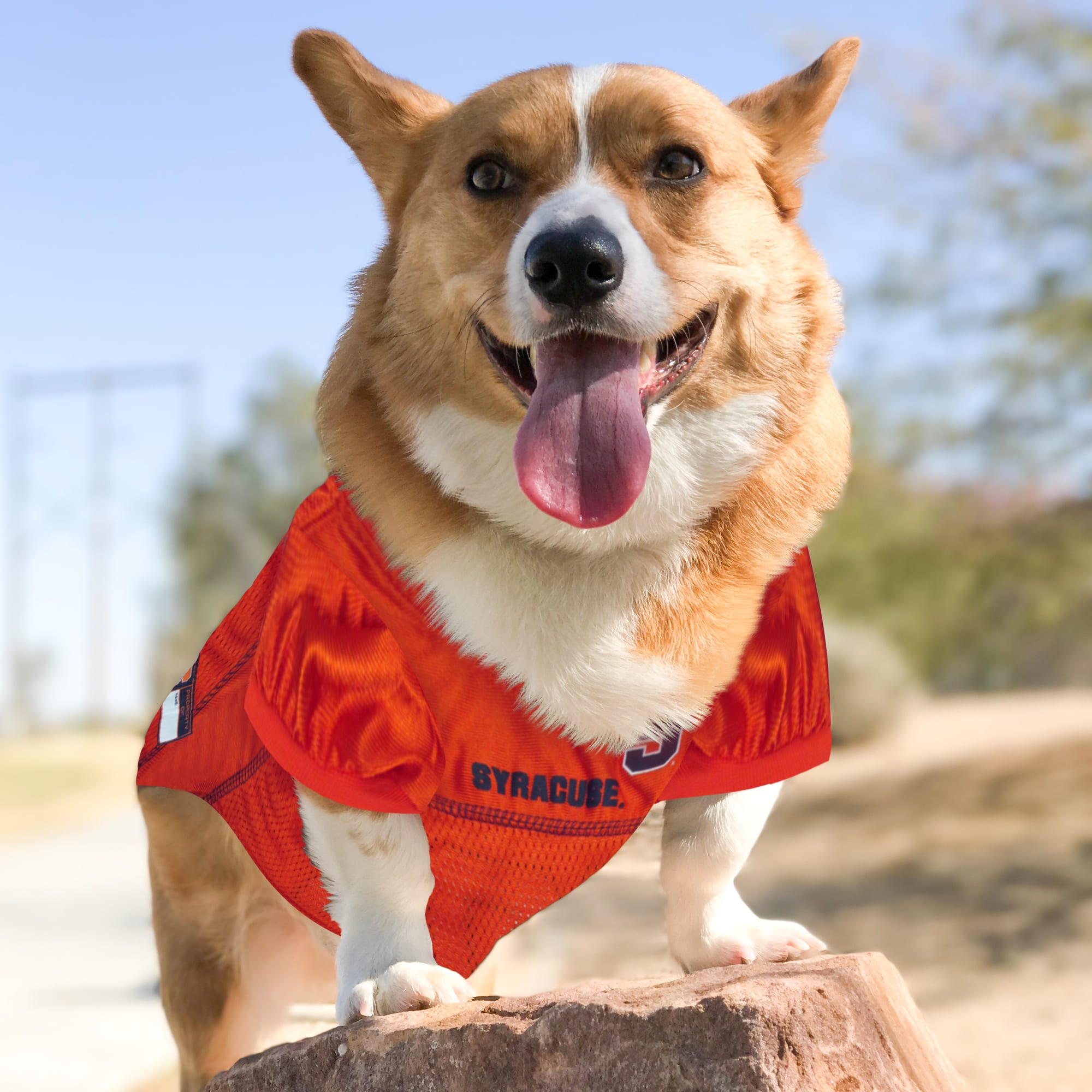 Pets First SYR-4006-XXL Dog-Apparel - View #3