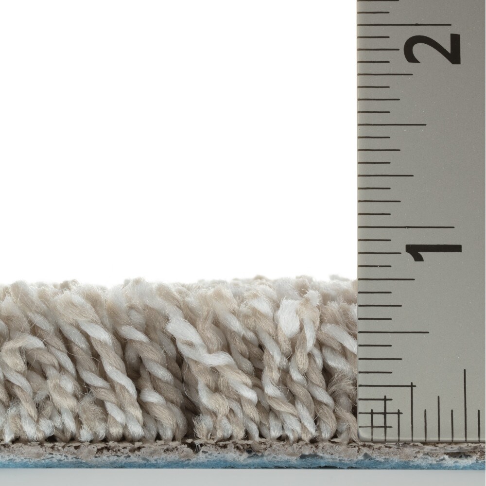 STAINMASTER PetProtect 7L99800120 Carpet-Panel - View #8