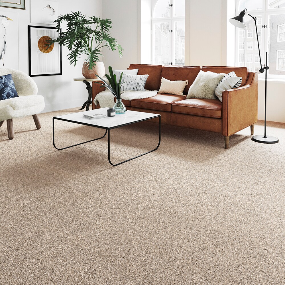 STAINMASTER STP57-12-L010 Carpet-Panel - View #3