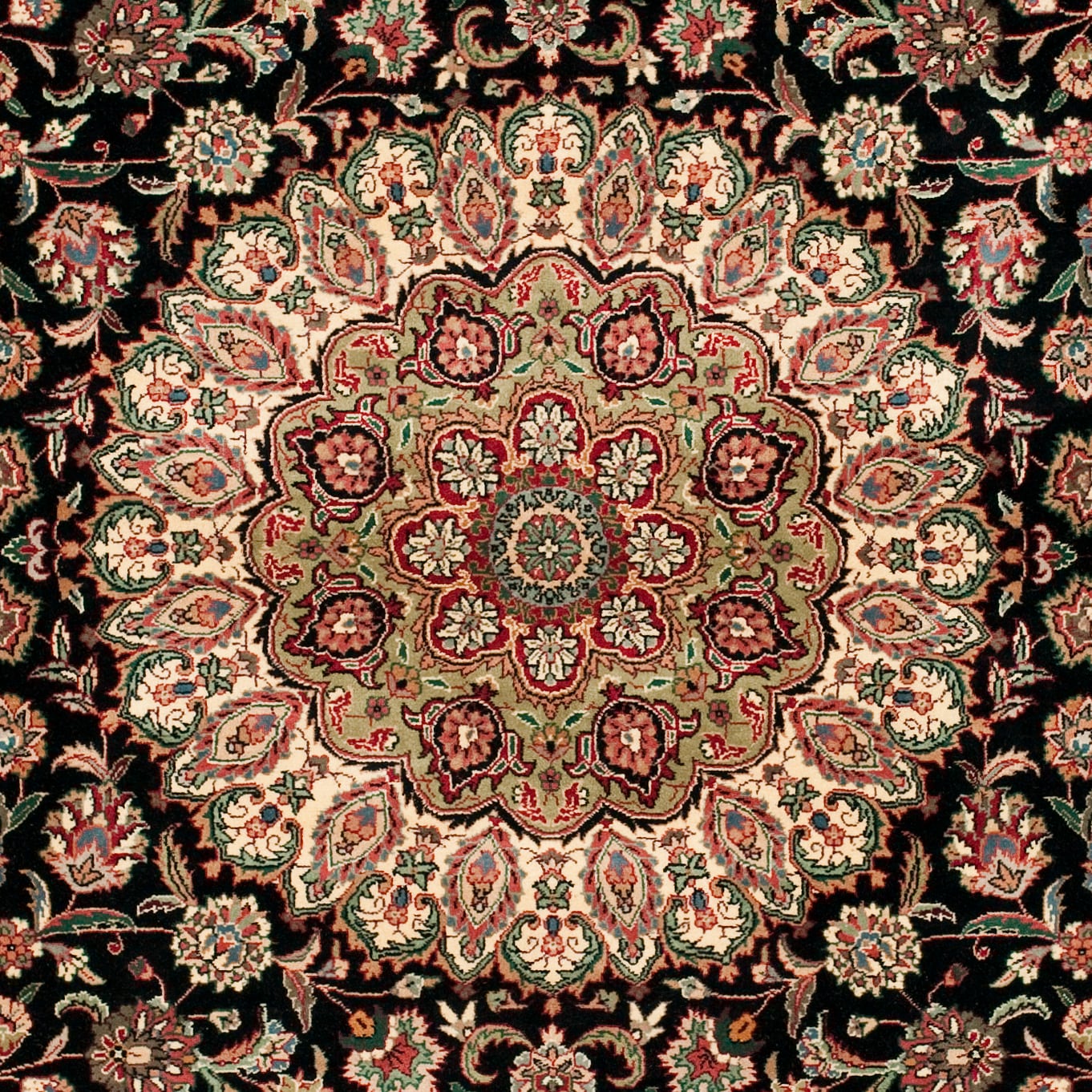 Safavieh RK82C-8 rugs - View #5