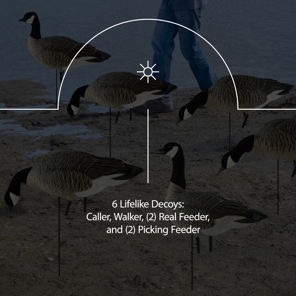  Avian X 408518 Hunting-Equipment - View #8