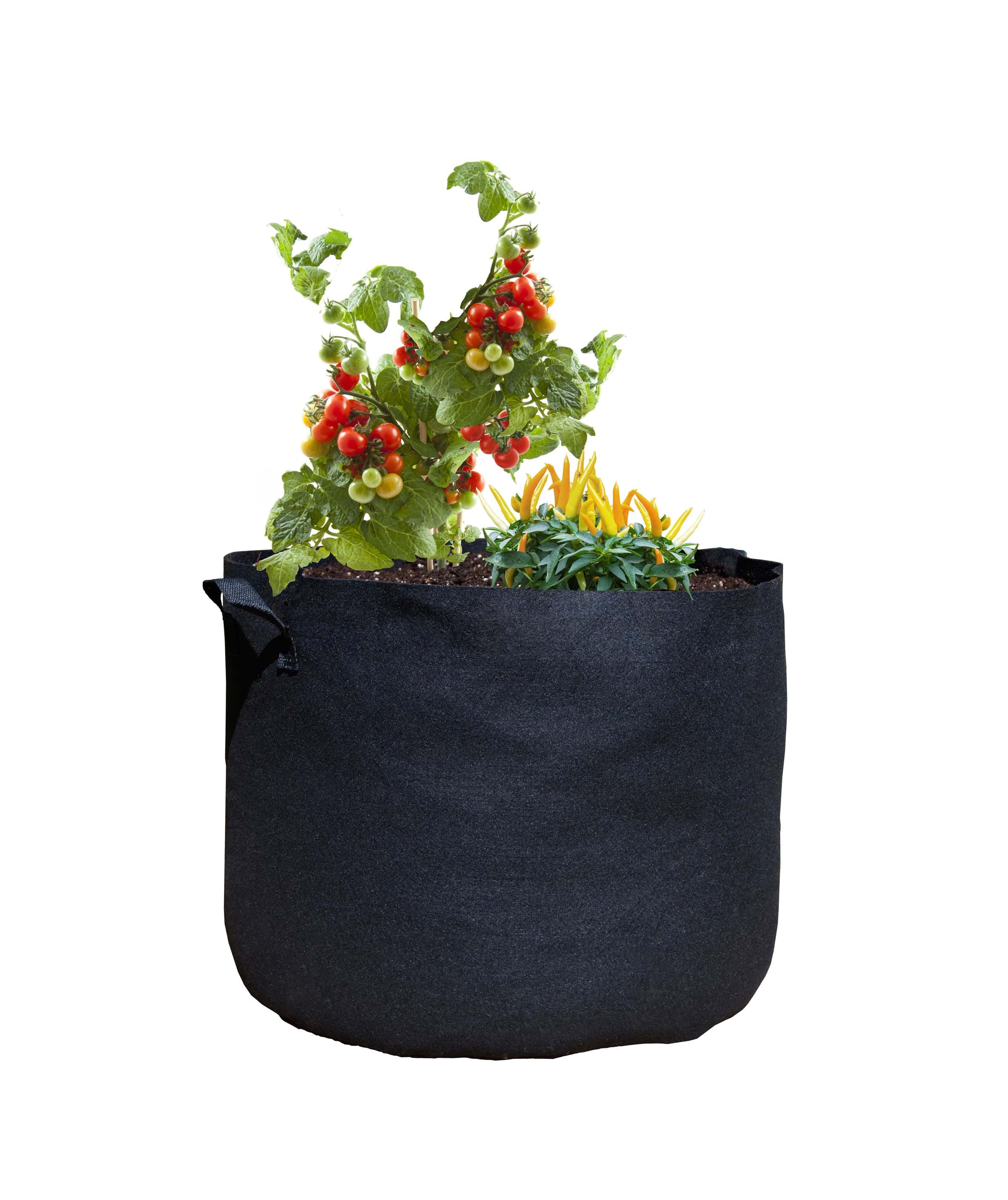 Viagrow V30GAPOT-3 3 -Pack Round 18.0-in W Extra Large Black HDPE Indoor/Outdoor Grow bag