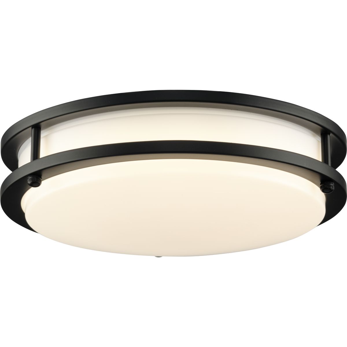 Progress Lighting P350274-31M-CS flushmounts - View #9