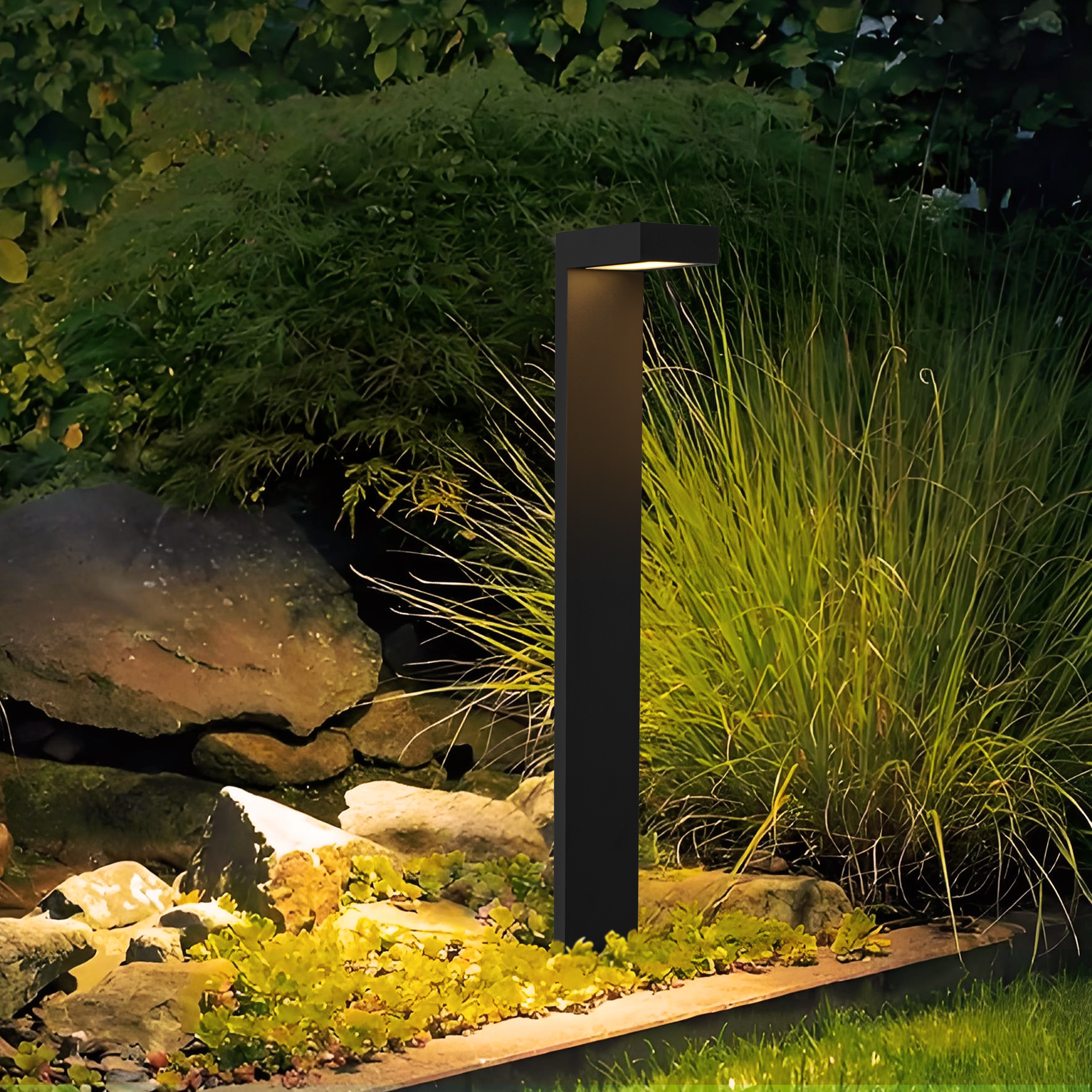 C Cattleya LLA2515-JES-10L Path-Lights - View #2