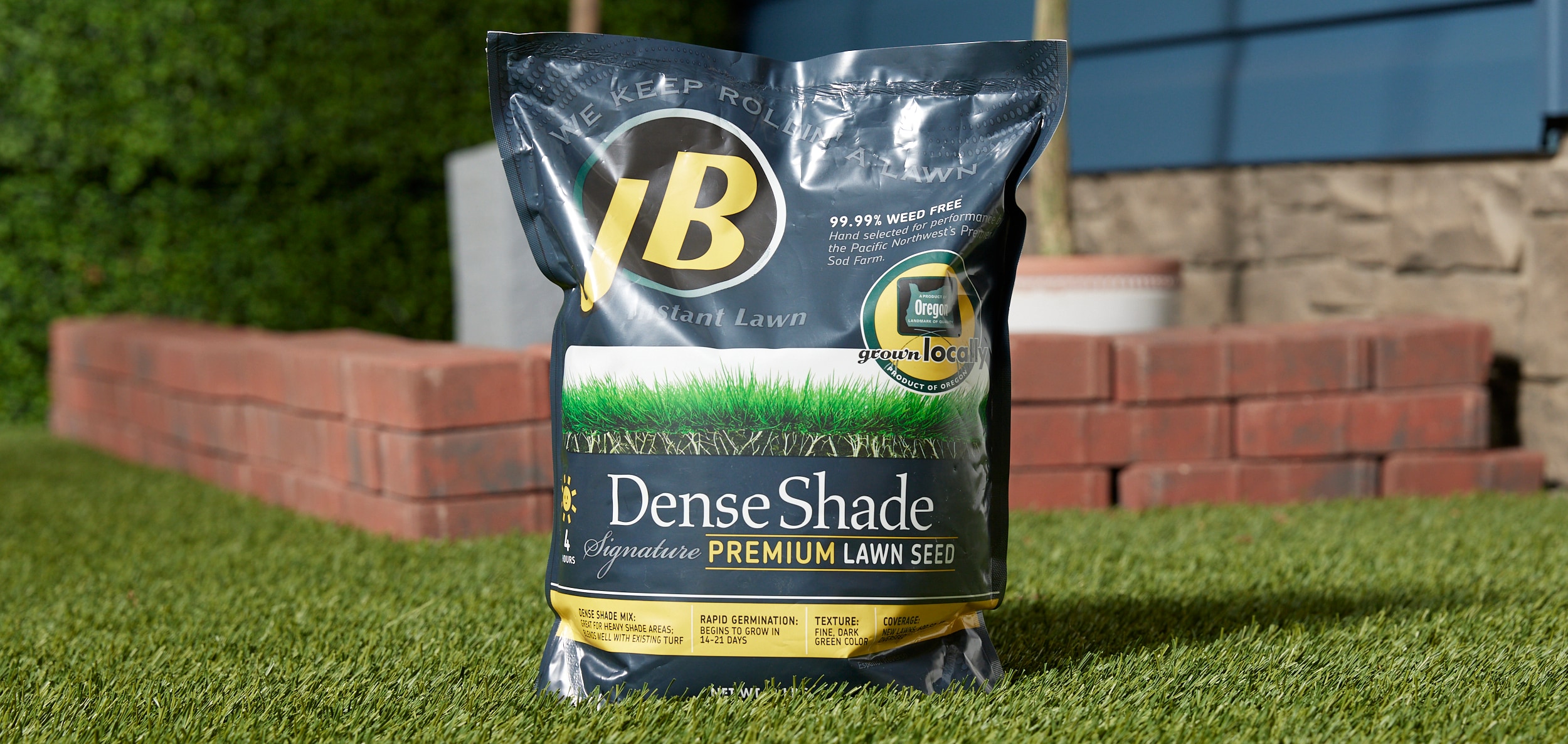 JB Instant Lawn DENSE3 Grass-Seed - View #3