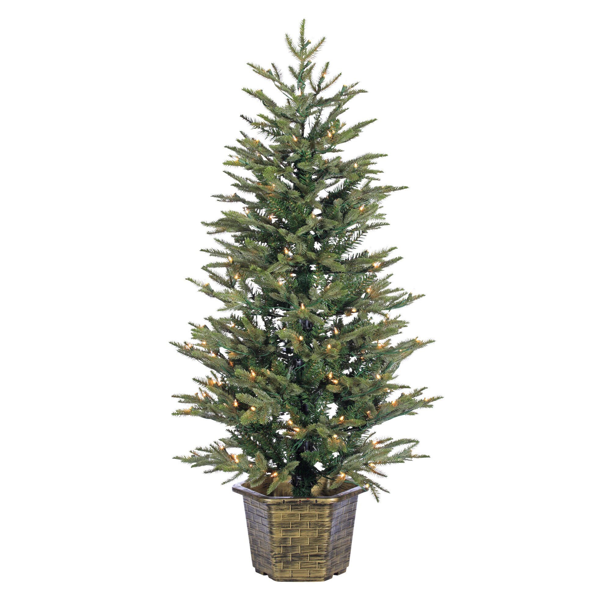 Sterling Tree Company 5594--45C