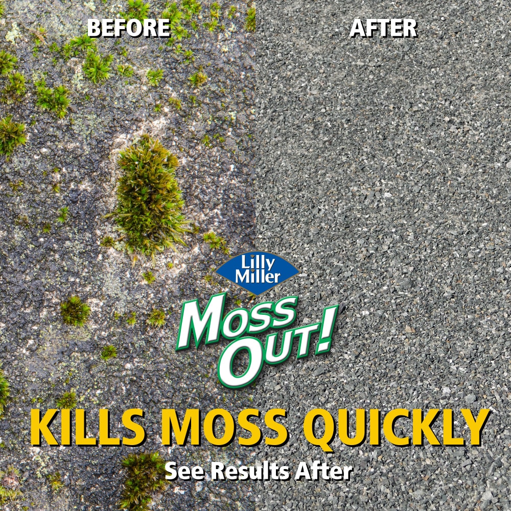 Moss Out! 7062410315 Moss-Algae-Fungus-Control - View #4