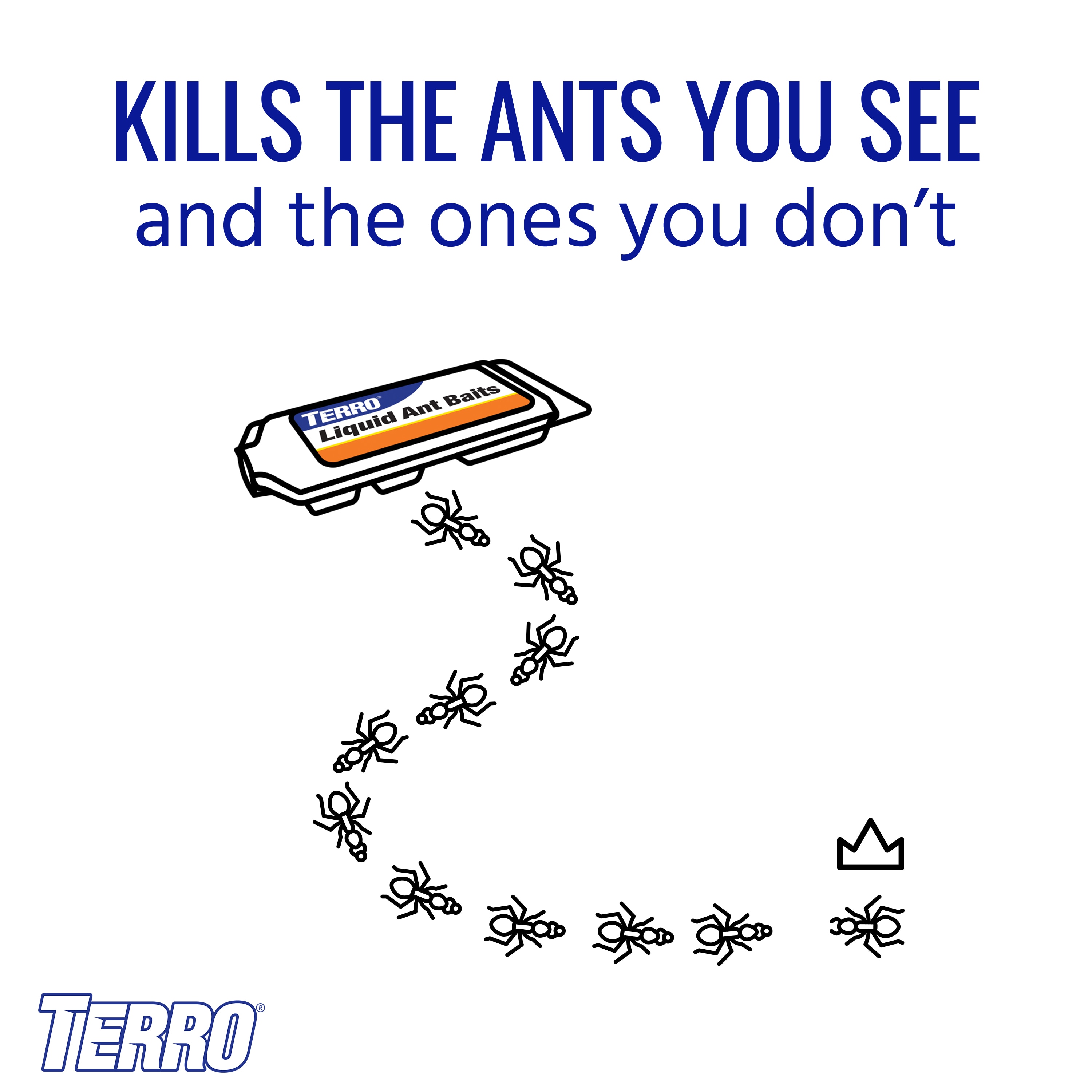 TERRO Ant Killer Liquid Ant Bait Station (6-Pack) in the Pesticides  department at