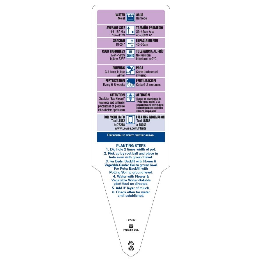 Lowe's 94002 annuals - View #4