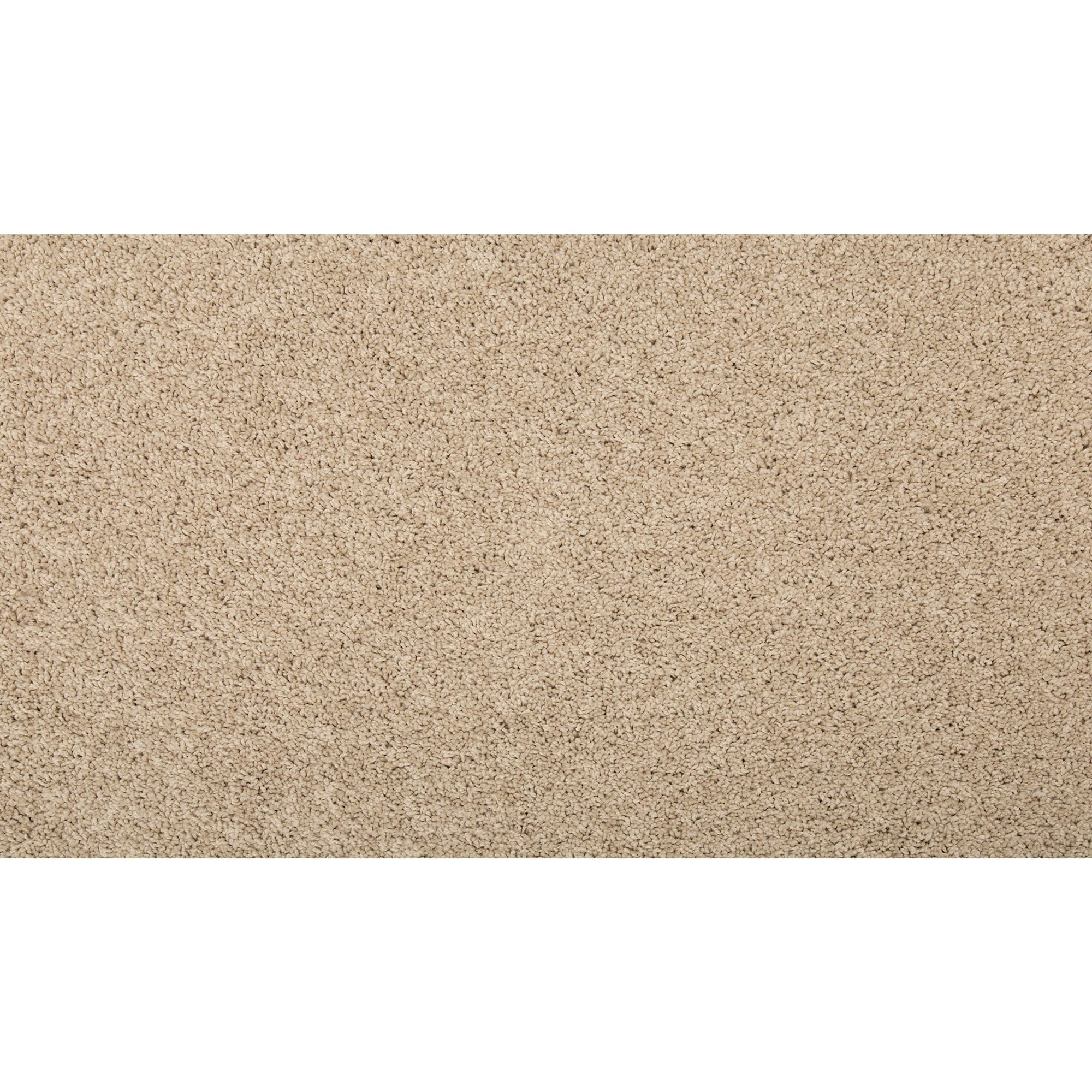 STAINMASTER SS013-L004-0808 (Sample) Memorable Touch II Sugar Cookie Brown 50-oz sq yard Solution-dyed polyester Textured Indoor Carpet