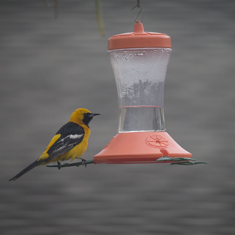 Perky-Pet 466-2 Bird-Feeders - View #5