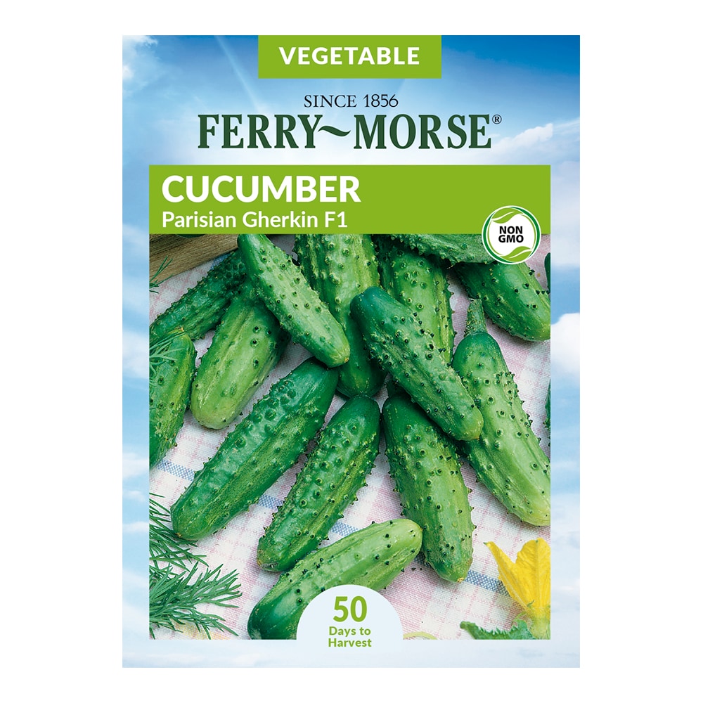 Ferry-Morse 635031.1220.249.9110 Cucmber F1 Parisian Gherkin Vegetable Seeds 0.625-Gram