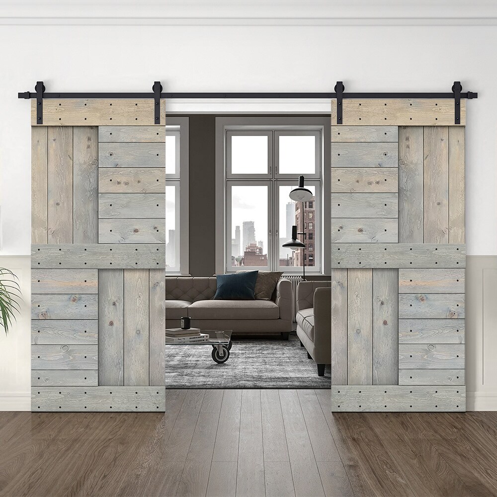 CALHOME MK72(2+N1-36SKG(2+CN Barn-Doors - View #2