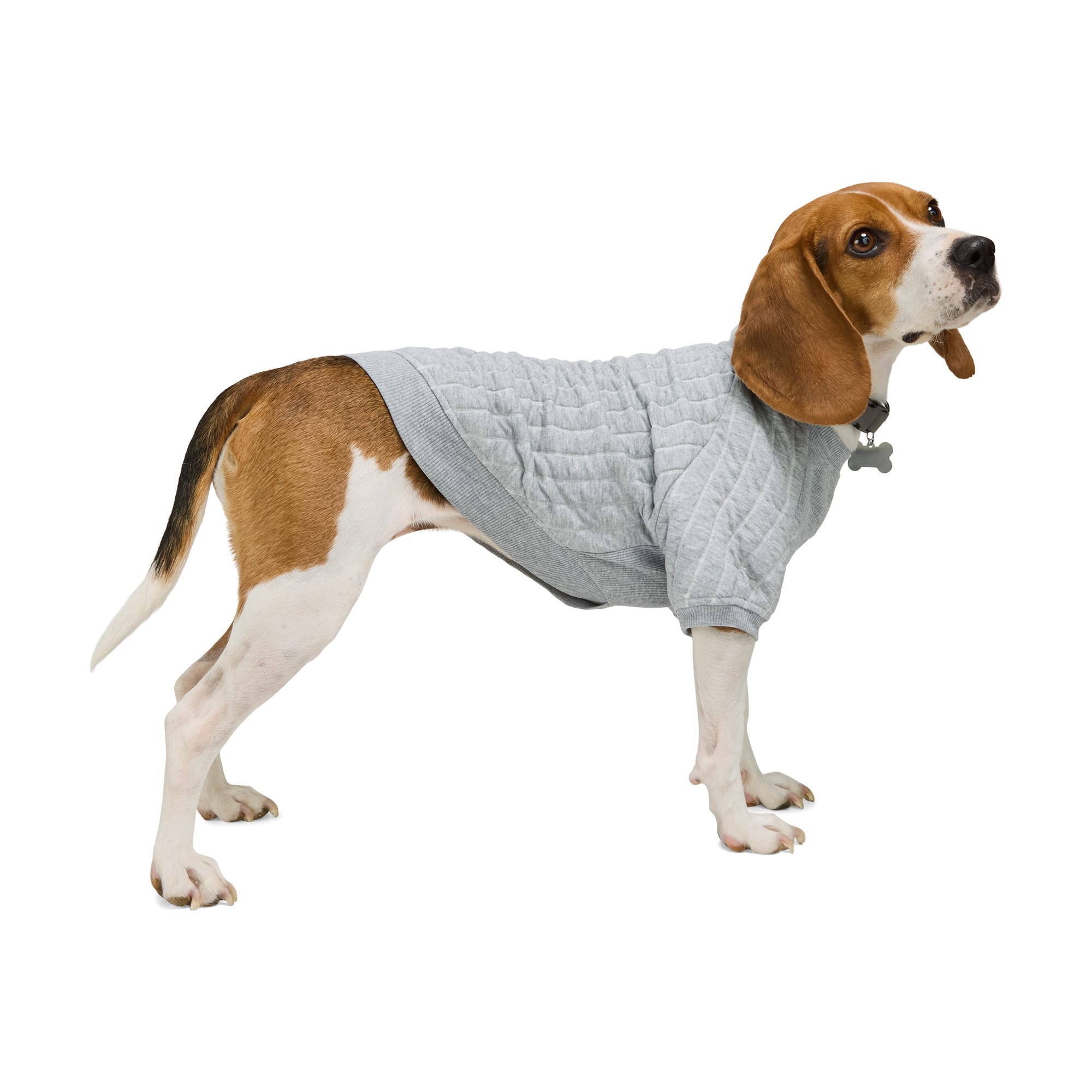 Reddy 23P515A-M Dog-Apparel - View #3