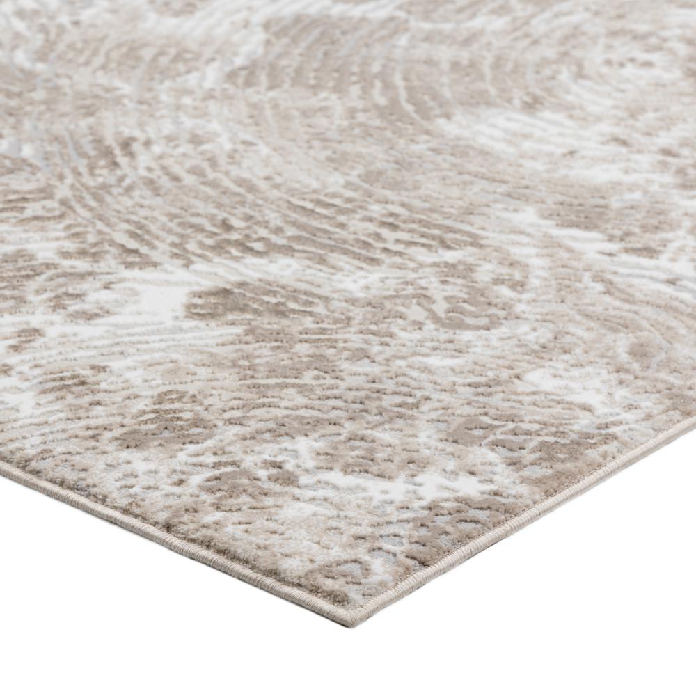 Dalyn RR5TP9X13 rugs - View #4
