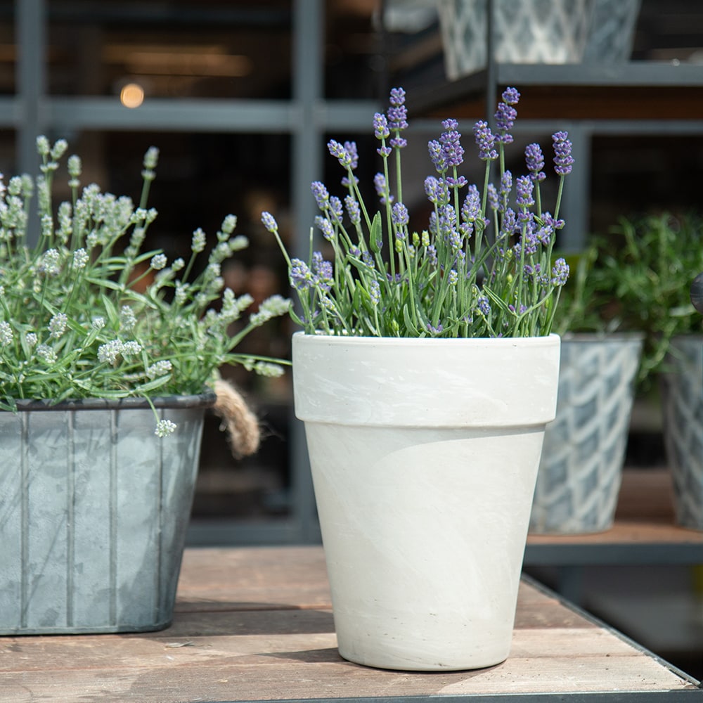  805554 Planter-Window-Box - View #3