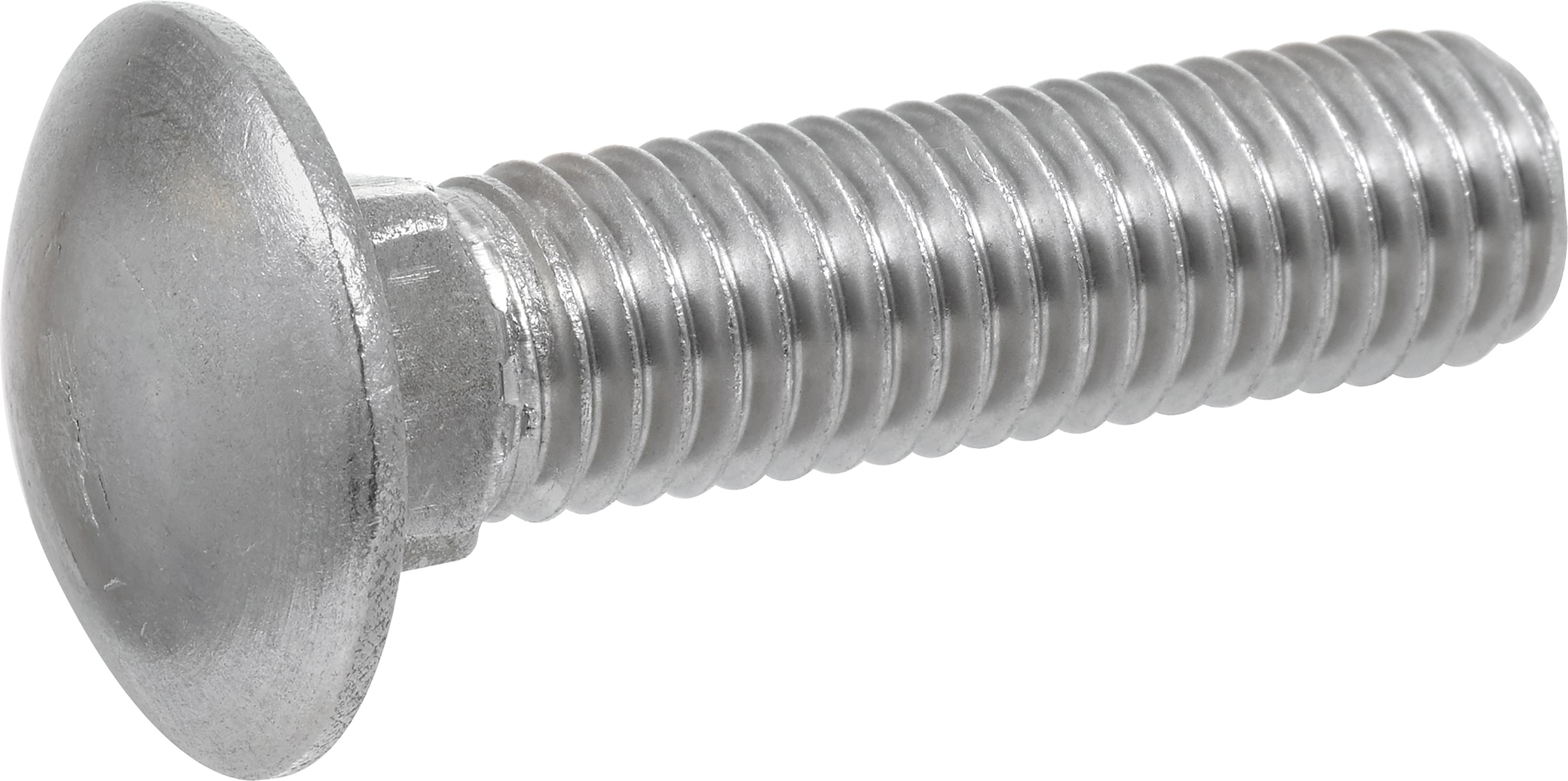Hillman 1/4-in x 1-1/2-in Stainless Coarse Thread Exterior Carriage Bolt in  the Carriage Bolts department at