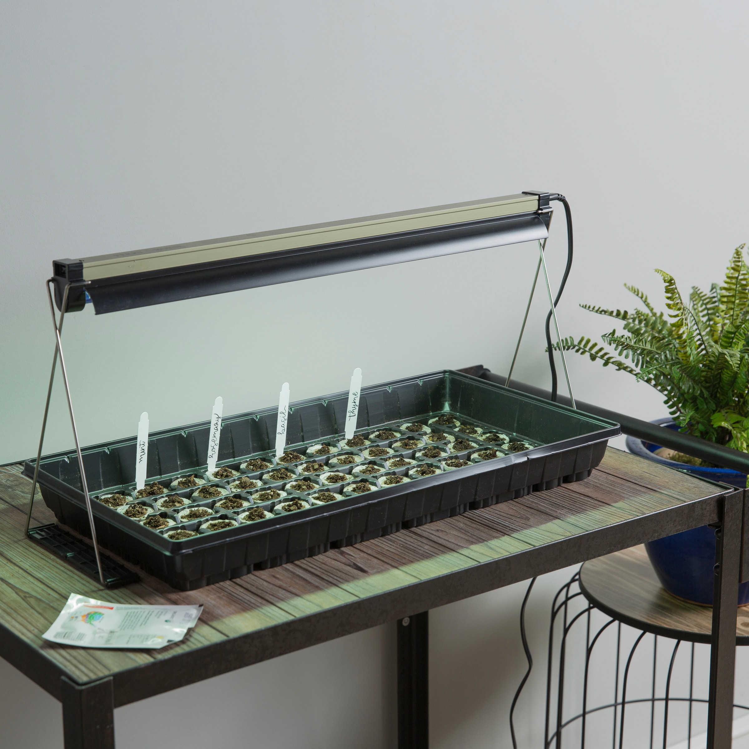 Ferry~Morse Heat Mats and Grow Lights Make Germinating Seeds Indoors Easy –  Ferry-Morse