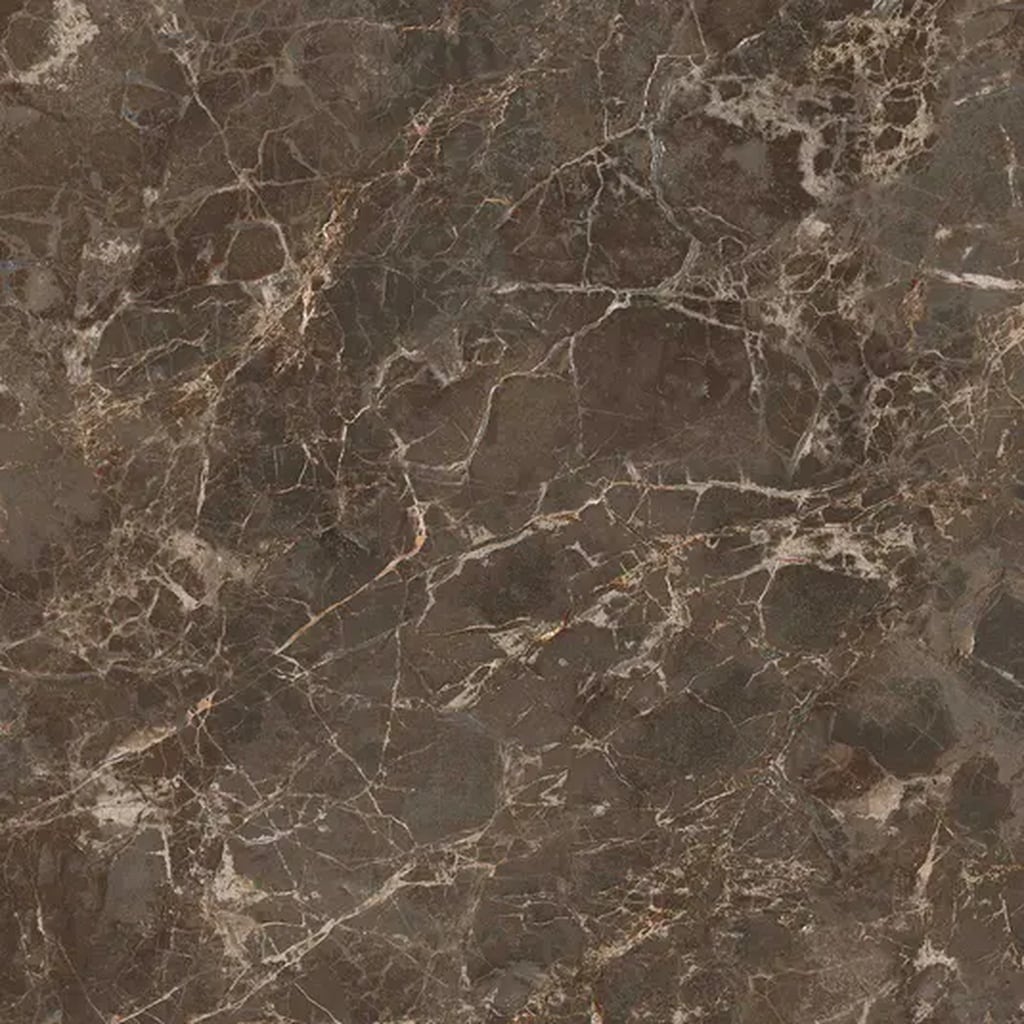 Apollo Tile Regalia Bruno Brown 24-in x 24-in Matte Porcelain Encaustic Floor and Wall Tile ( 15.5-sq ft Carton )