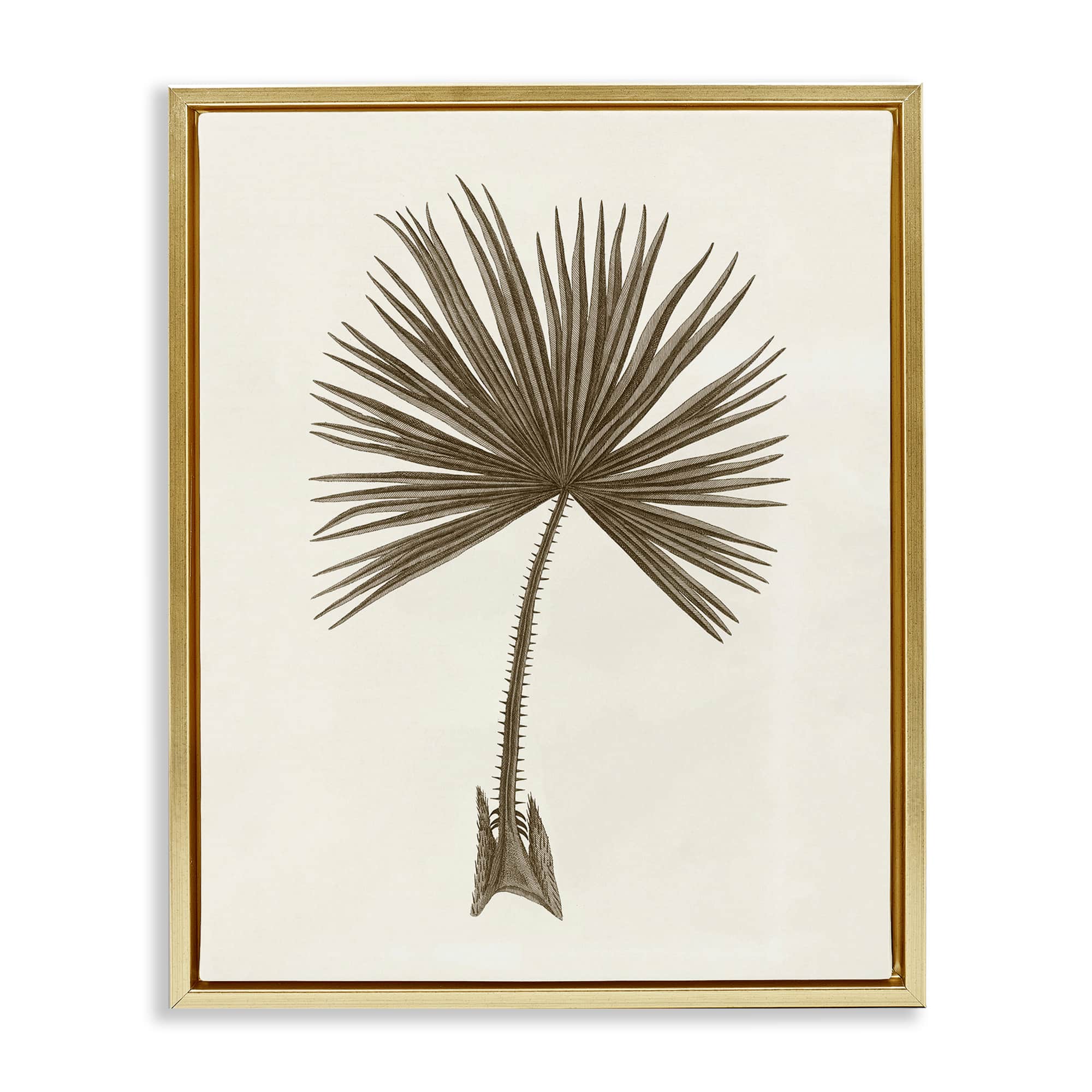 Stupell Industries BT-480-FFG-24X30 Vintage Study of Palm Leaf Gold Framed Floater Canvas Wall Art By Phillipa Katz 25 x 31