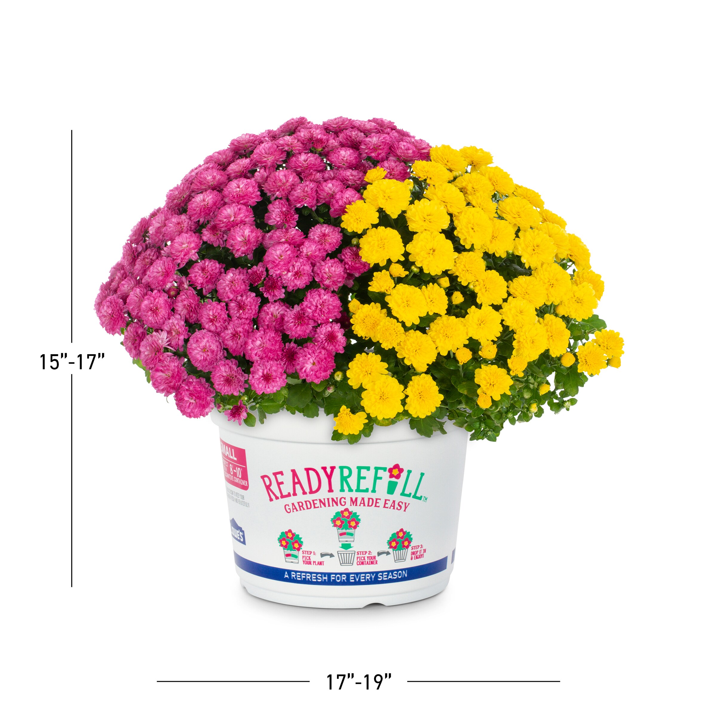 Ready Refill 4382 annuals - View #3