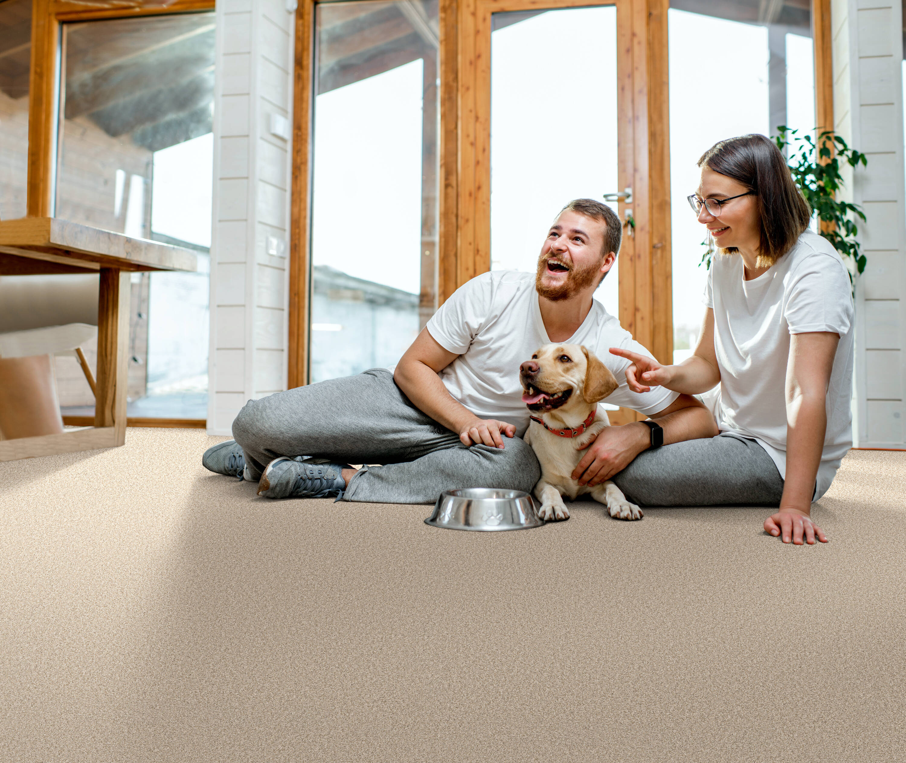STAINMASTER 7L878 - 741 - SAMP Carpet-Samples - View #3