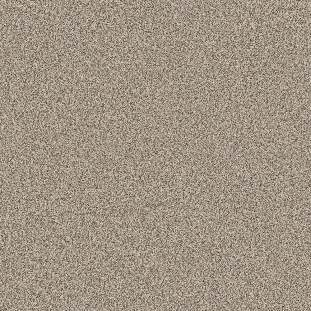 STAINMASTER PetProtect 7L966-119-SAMP (Sample) 8-in x 8-in Pet Parade II Sandstone Brown 58.5-oz sq yard High-performance polyester Textured Indoor Carpet