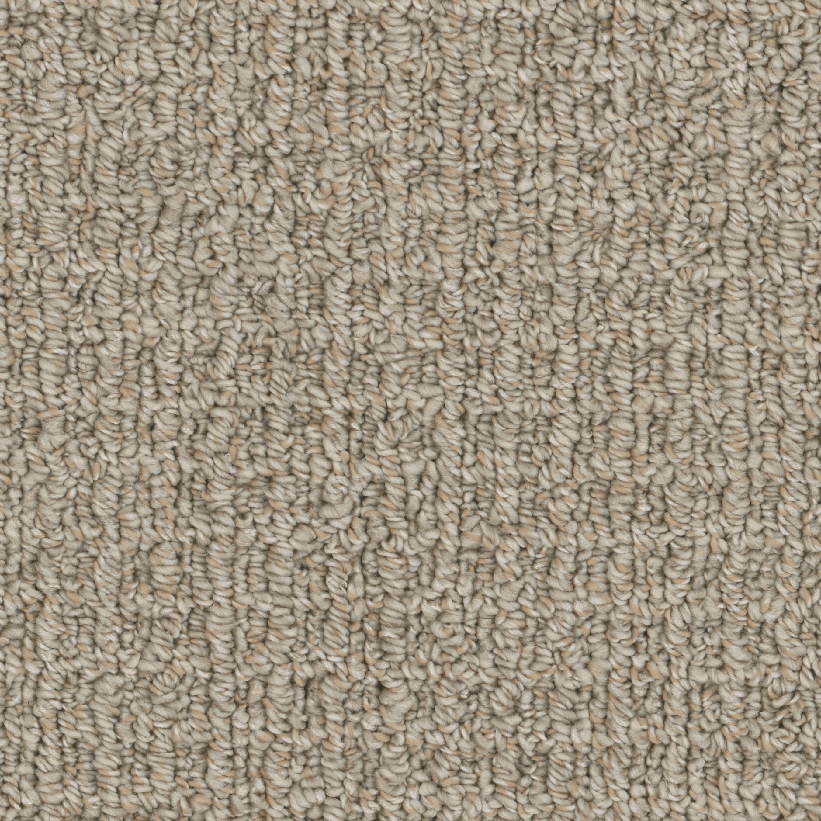 STAINMASTER (Sample) Runway Vogue Multi-Colored 36-oz sq yard Polyester  Pattern Indoor Carpet in the Carpet Samples department at