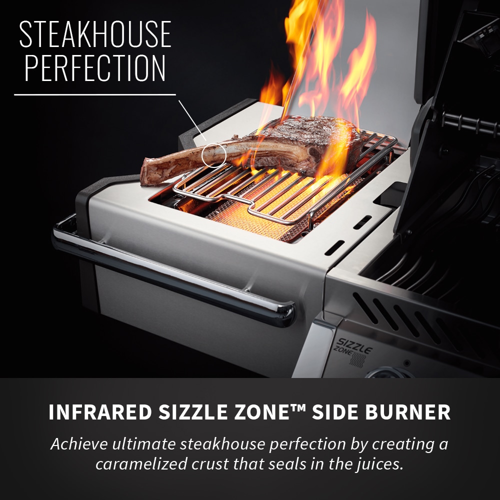 NAPOLEON PRO665RSIBPSS-3 Gas-Grill - View #6