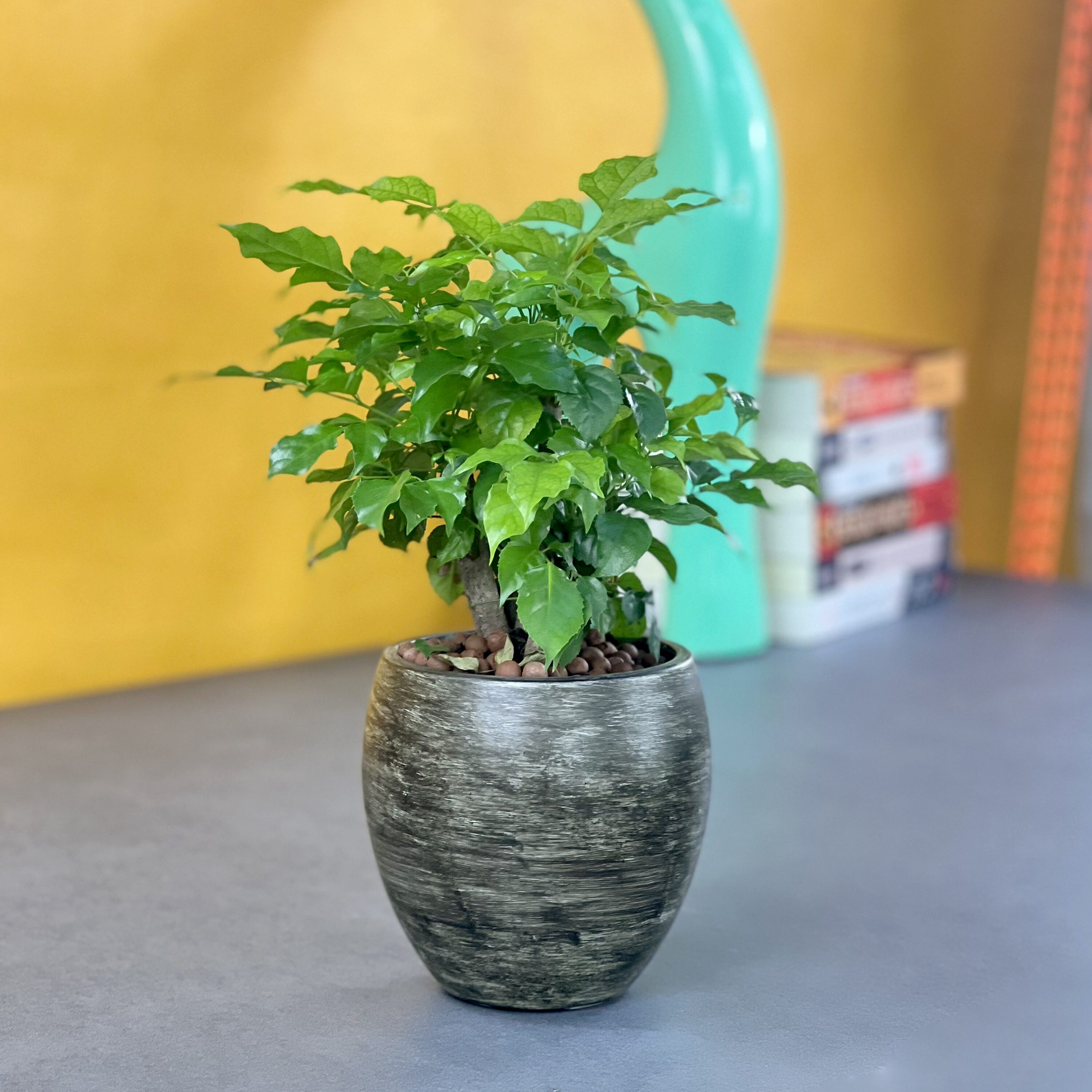 Siavonce XH44626 Planter-Window-Box - View #3