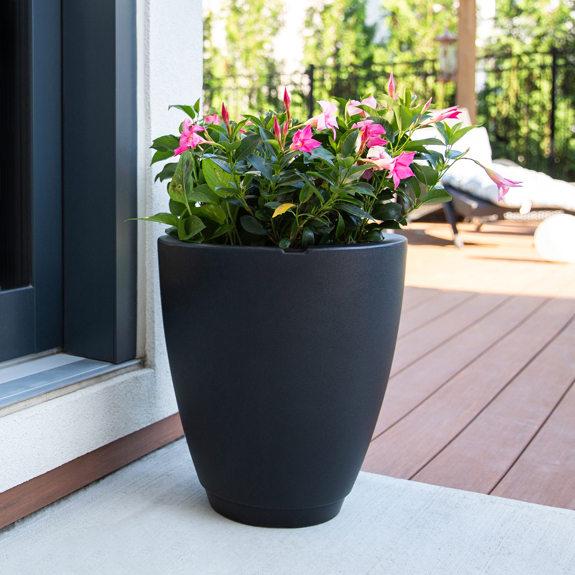 Mayne 5905-B Planter-Window-Box - View #4