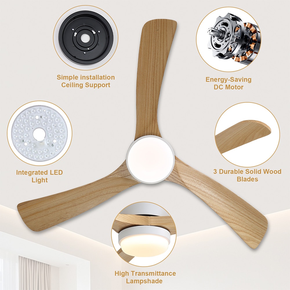 Sofucor LW-42K070-WH-YM Ceiling-Fans - View #5