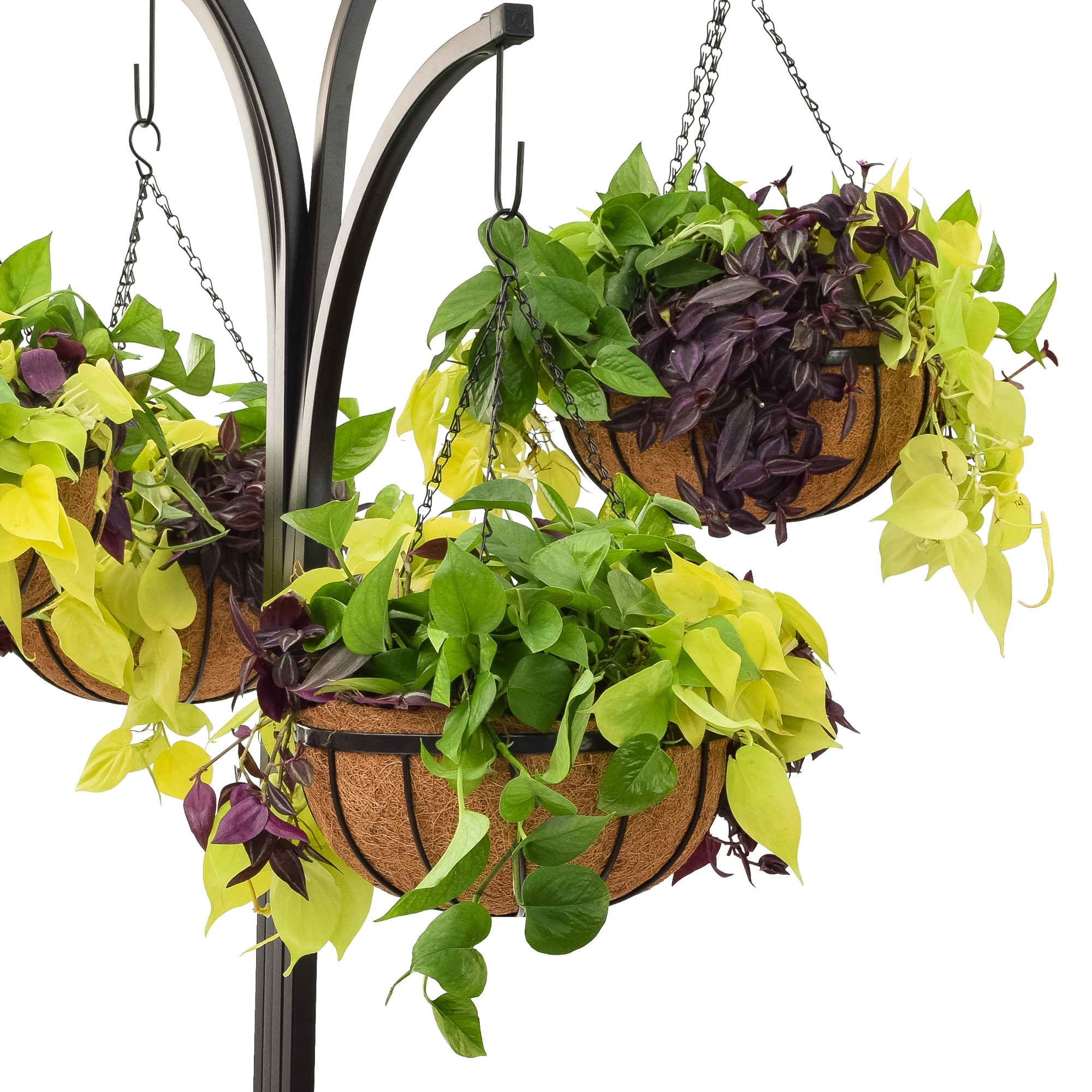 Arcadia Garden Products 1596 Planter-Window-Box - View #2