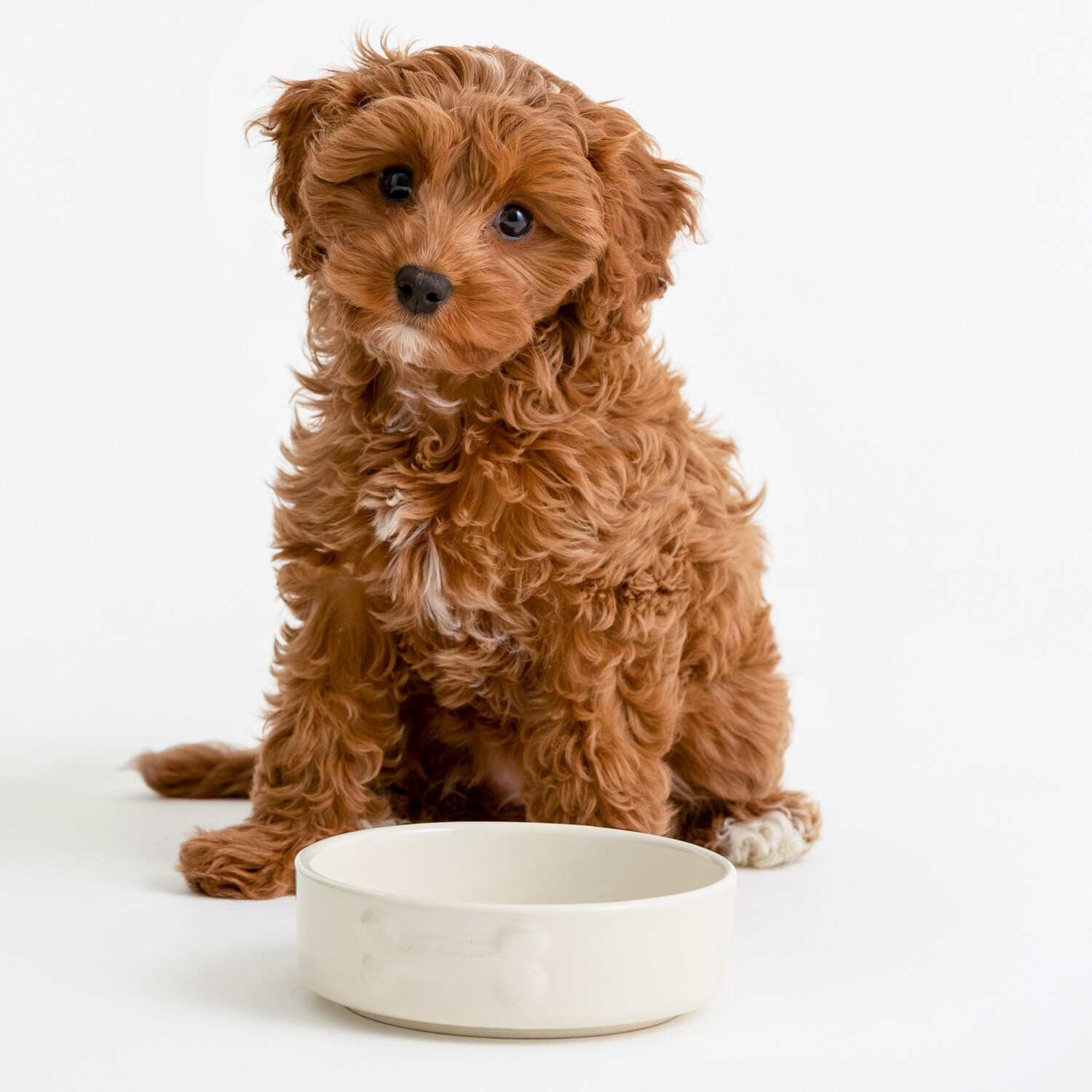 Mason Cash G5010853291840 Pet-Bowls - View #8