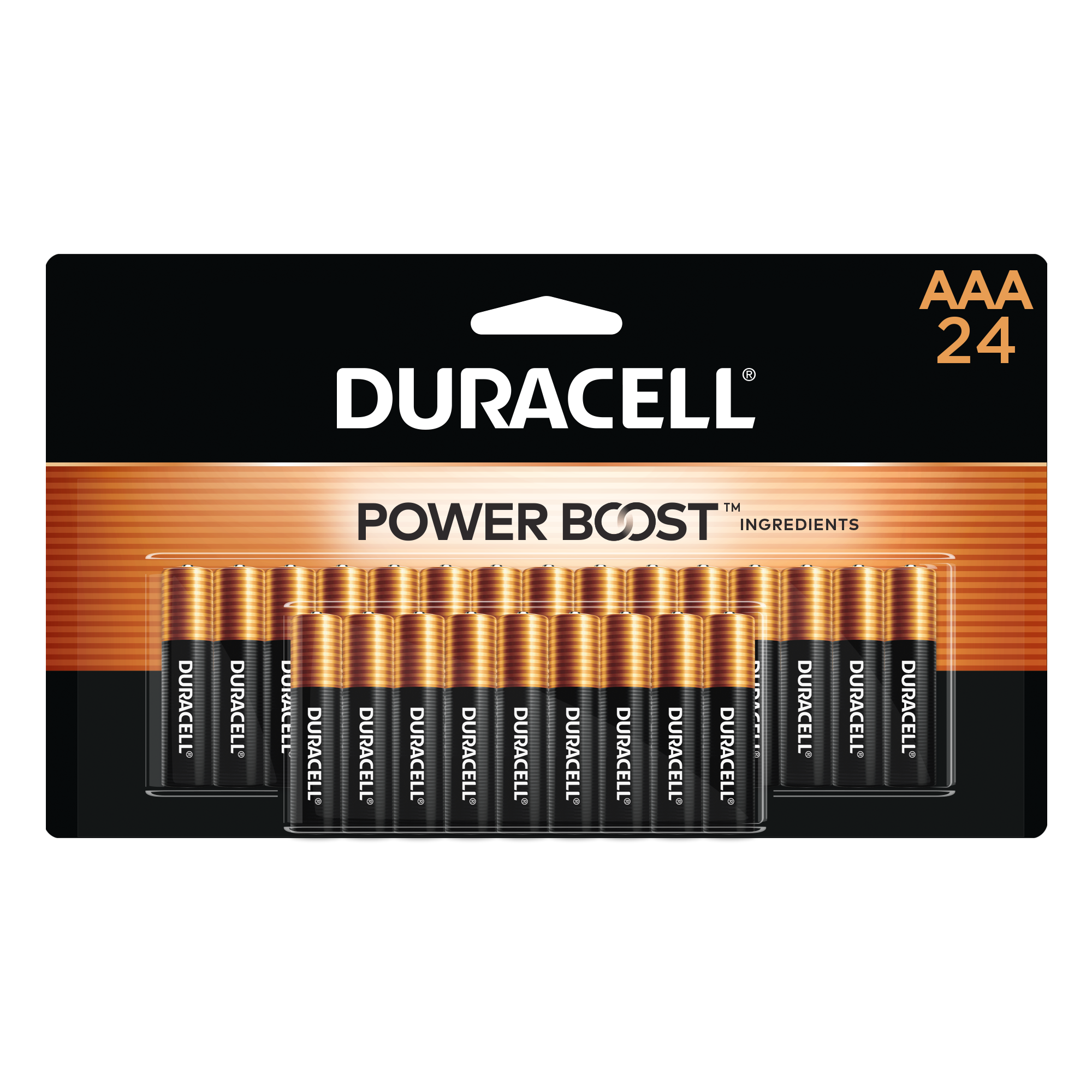 Duracell Copper Top Alkaline AAA Batteries (24-Pack) in the AAA Batteries  department at