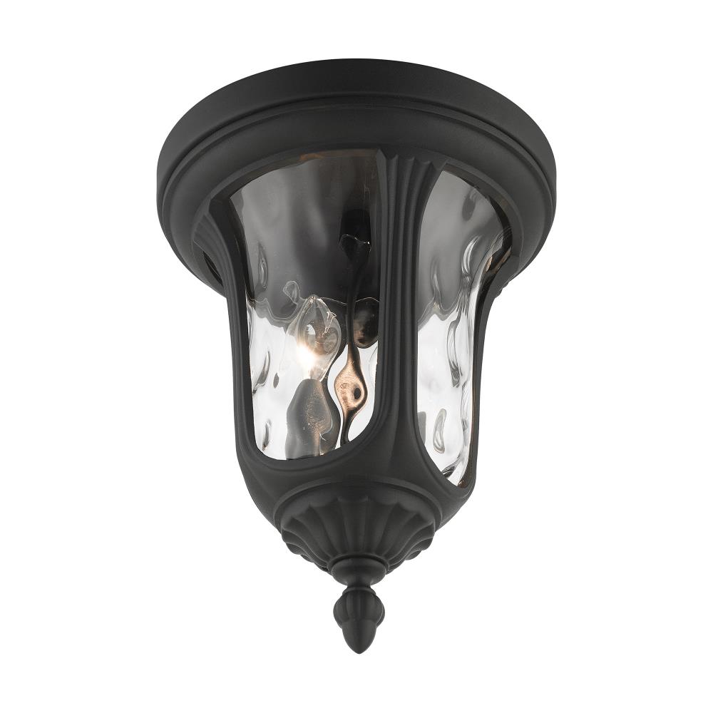 Elegant Oxford Hand-Blown Clear Water Glass 2-Light LED Flush Mount in Textured Black