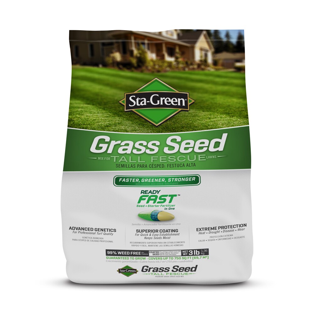 Sta Green 3 Lbs Natural Tall Fescue Grass Seed In The Grass Seed