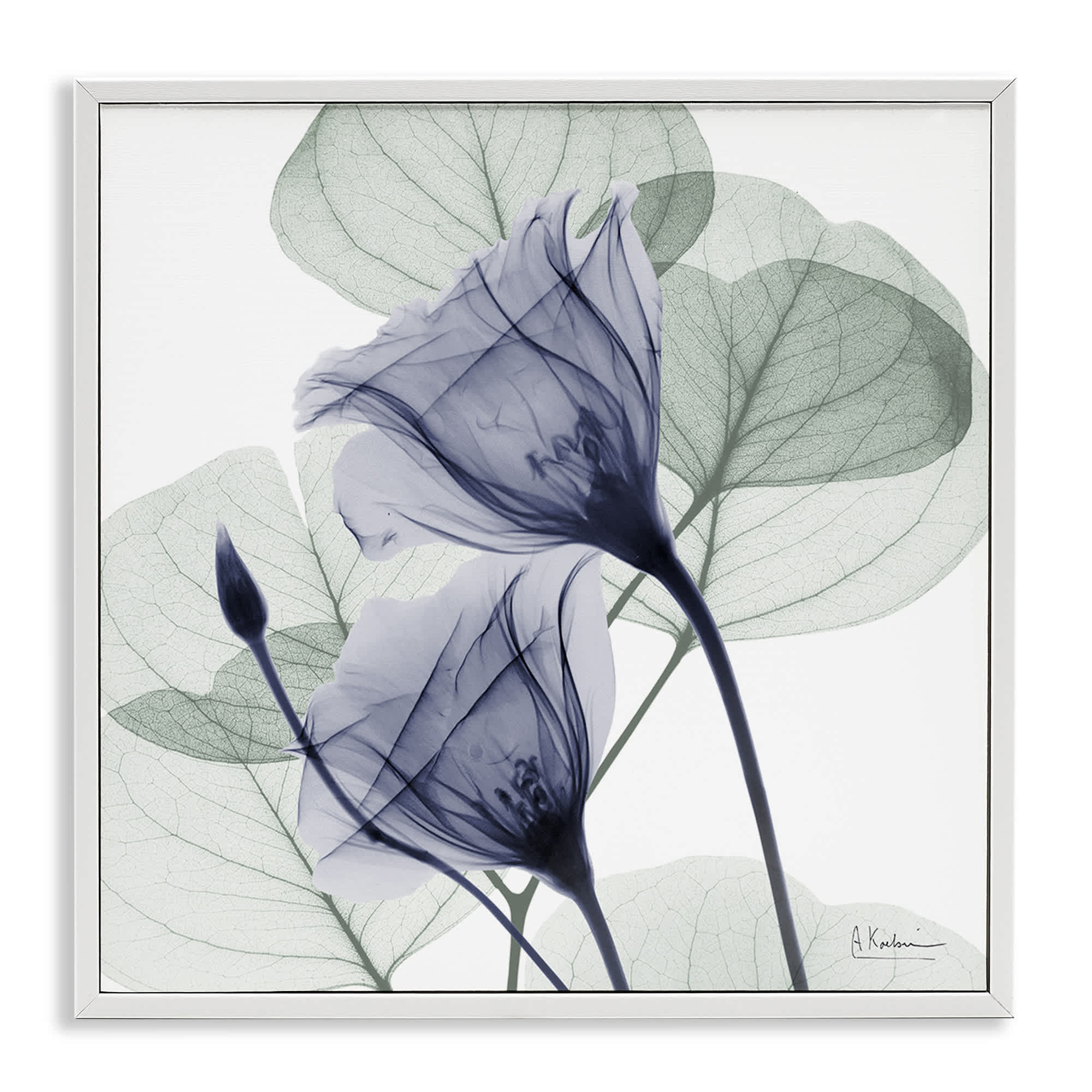 Stupell Industries BS-028-WFR-24X24 Serene Tulips and Herbs White Framed Giclee Art By Albert Koetsier 24 x 24