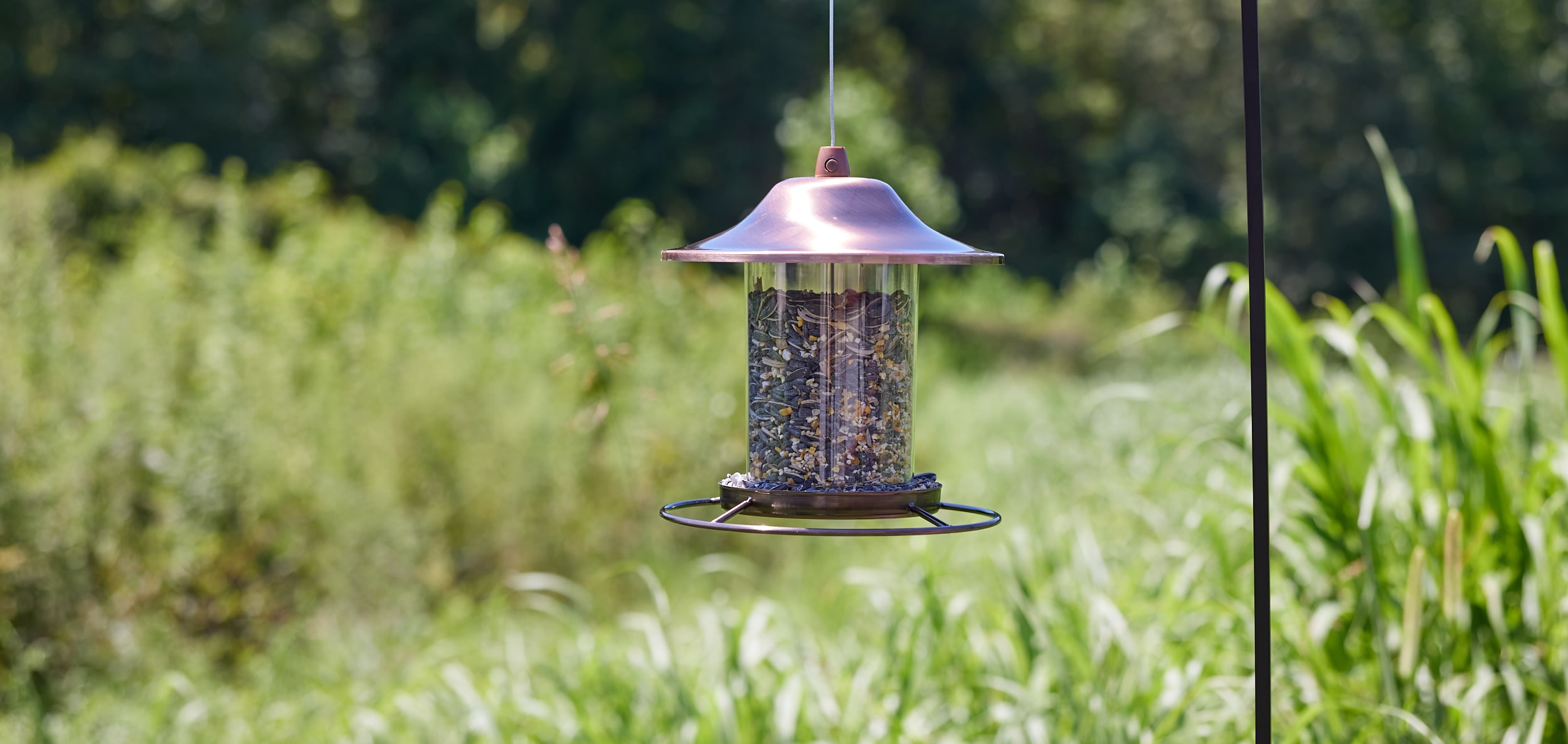 Red River Commodities 009564 Bird-Squirrel-Food - View #4