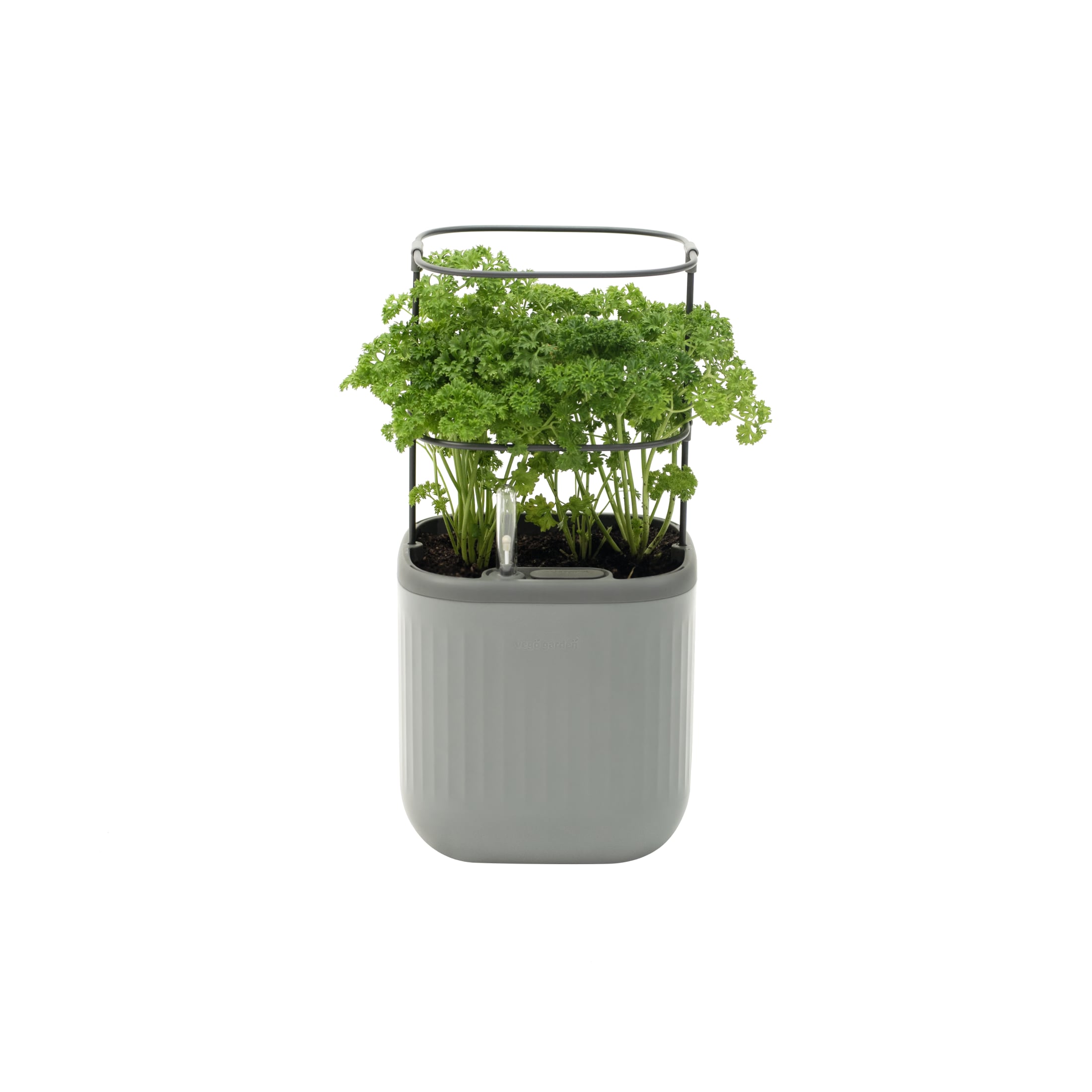 Vego Garden VPMPGY Rectangle 7-in W Medium Gray Recycled plastic Contemporary/Modern Indoor/Outdoor Planter with Drainage Holes with Self Watering