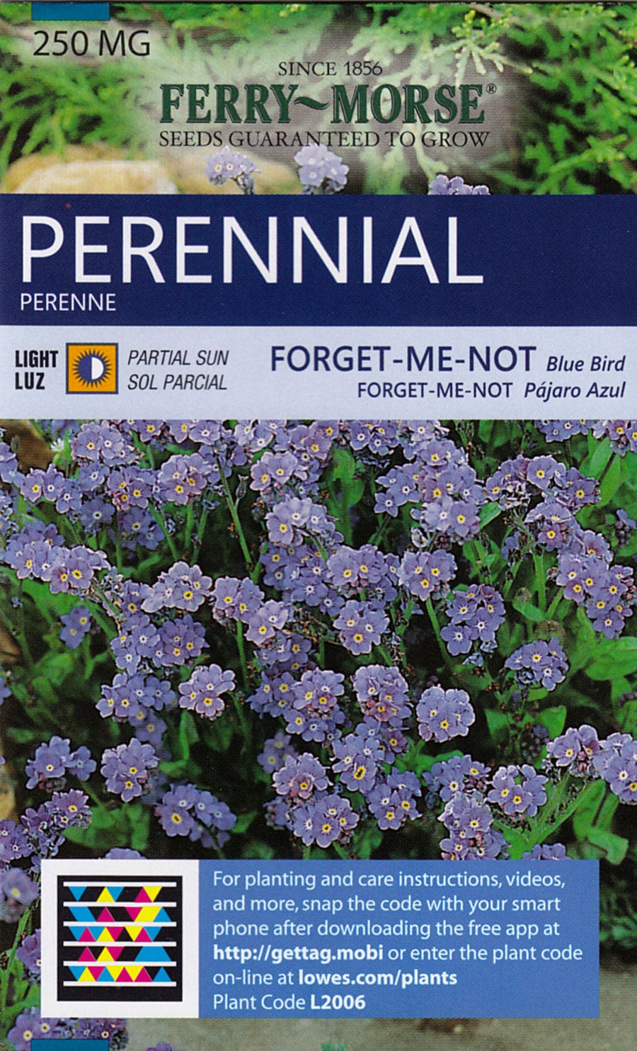 Forget Me Not Annual Seeds from Ferry-Morse Seeds